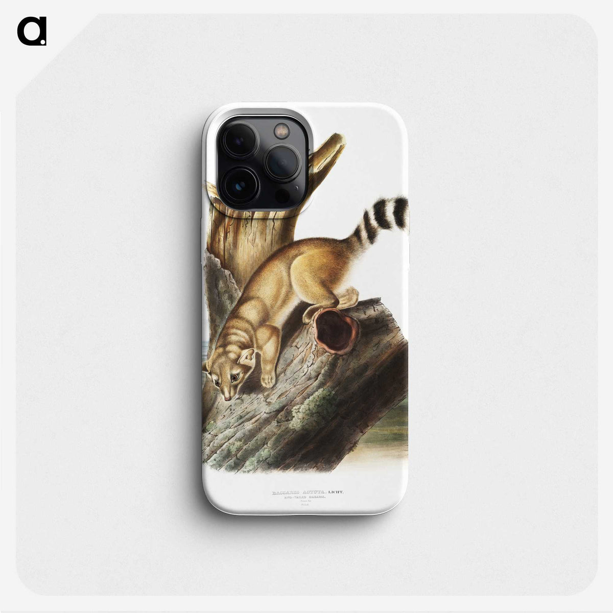 1-78_The-Viviparous-Quadrupeds_phone