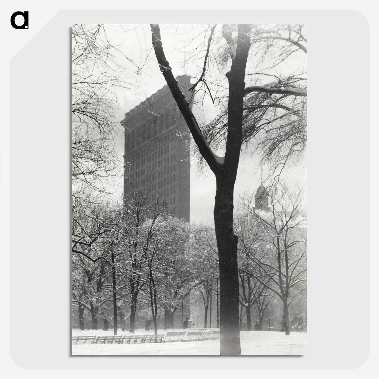 1-79_Alfred-Stieglitz_picture-crop