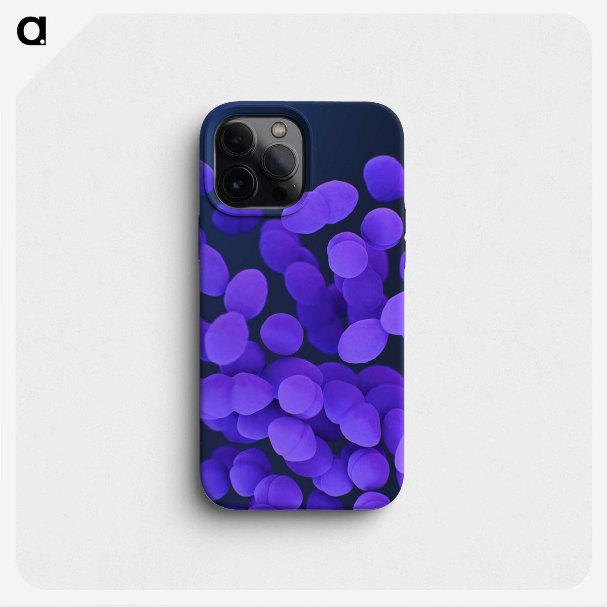 1-79_COVID-19_phone