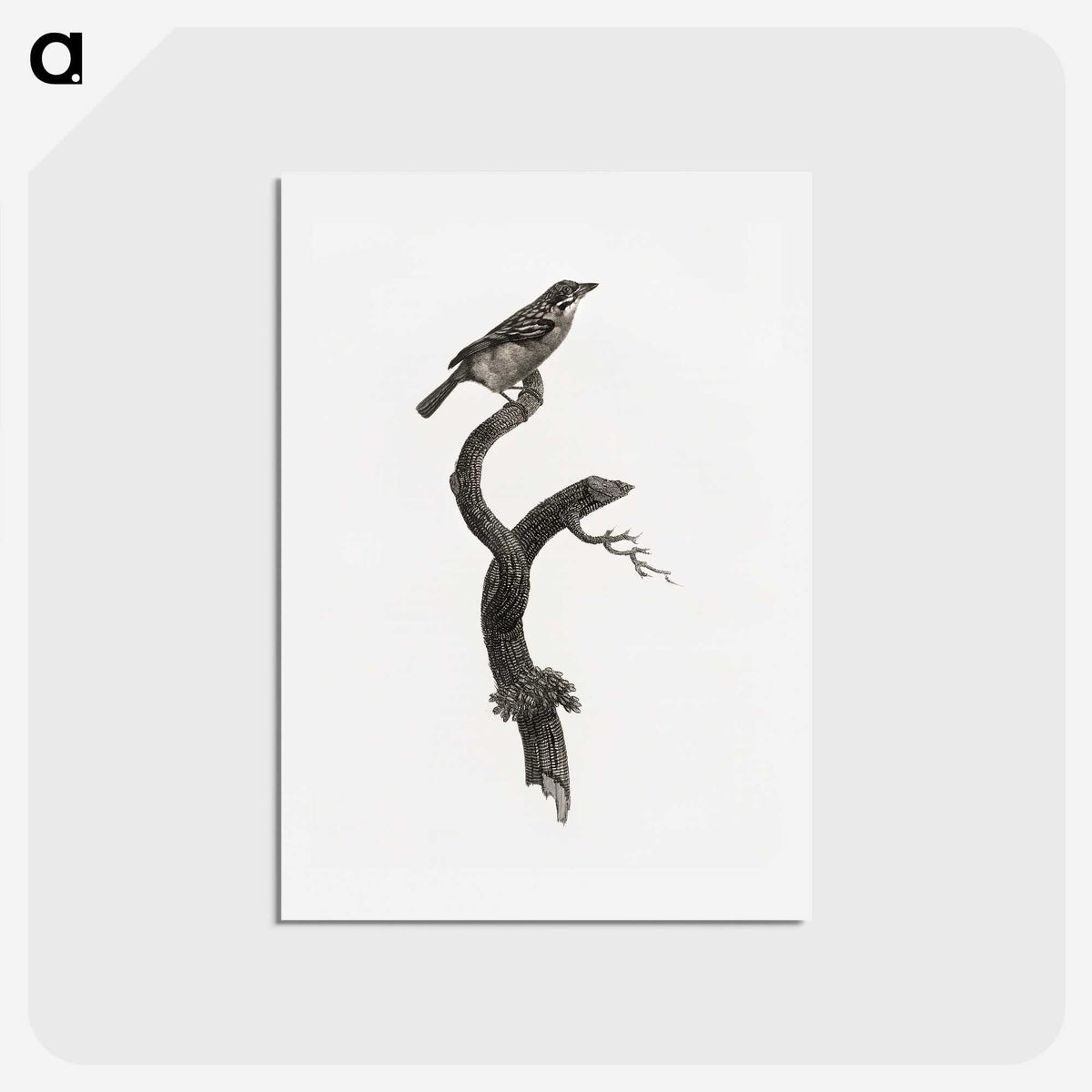 1-79_Des-Oiseaux-de-Paradis_hagaki