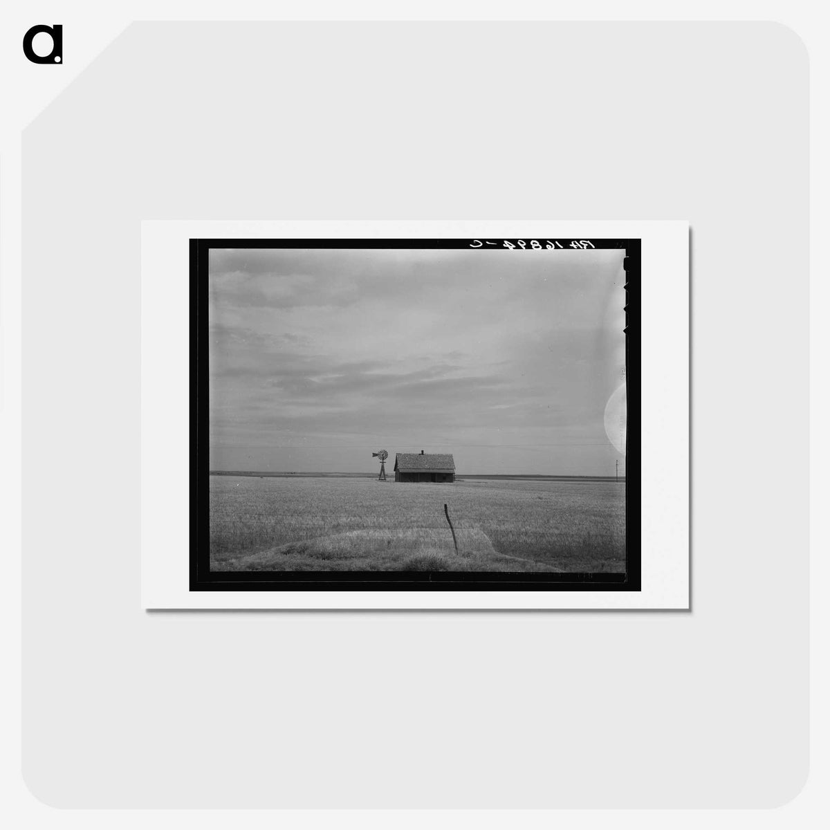 1-79_Dorothea-Lange_hagaki