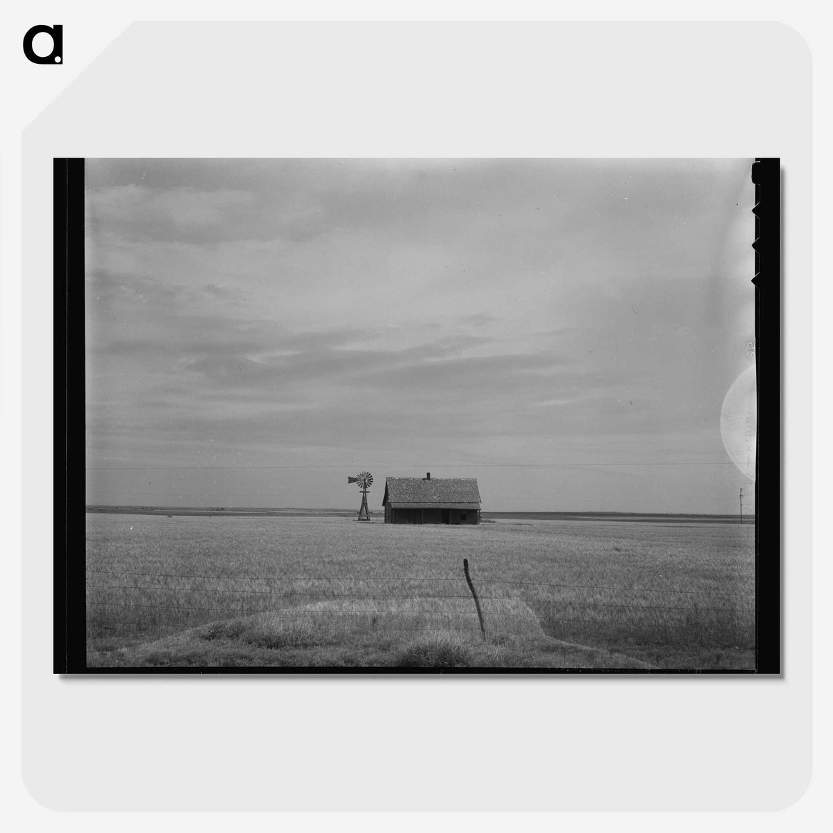 1-79_Dorothea-Lange_picture-crop