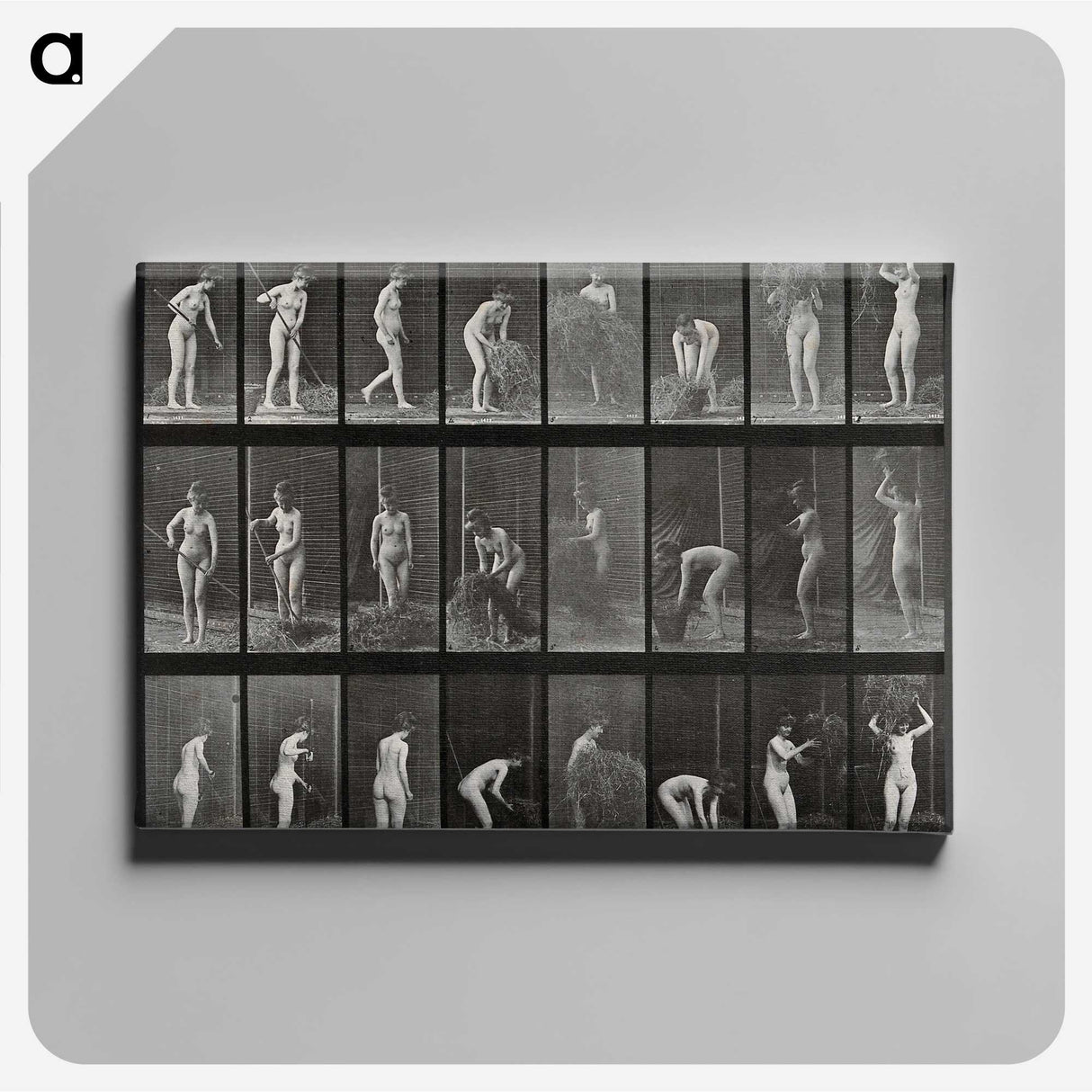 1-79_Eadweard-Muybridge_canvas