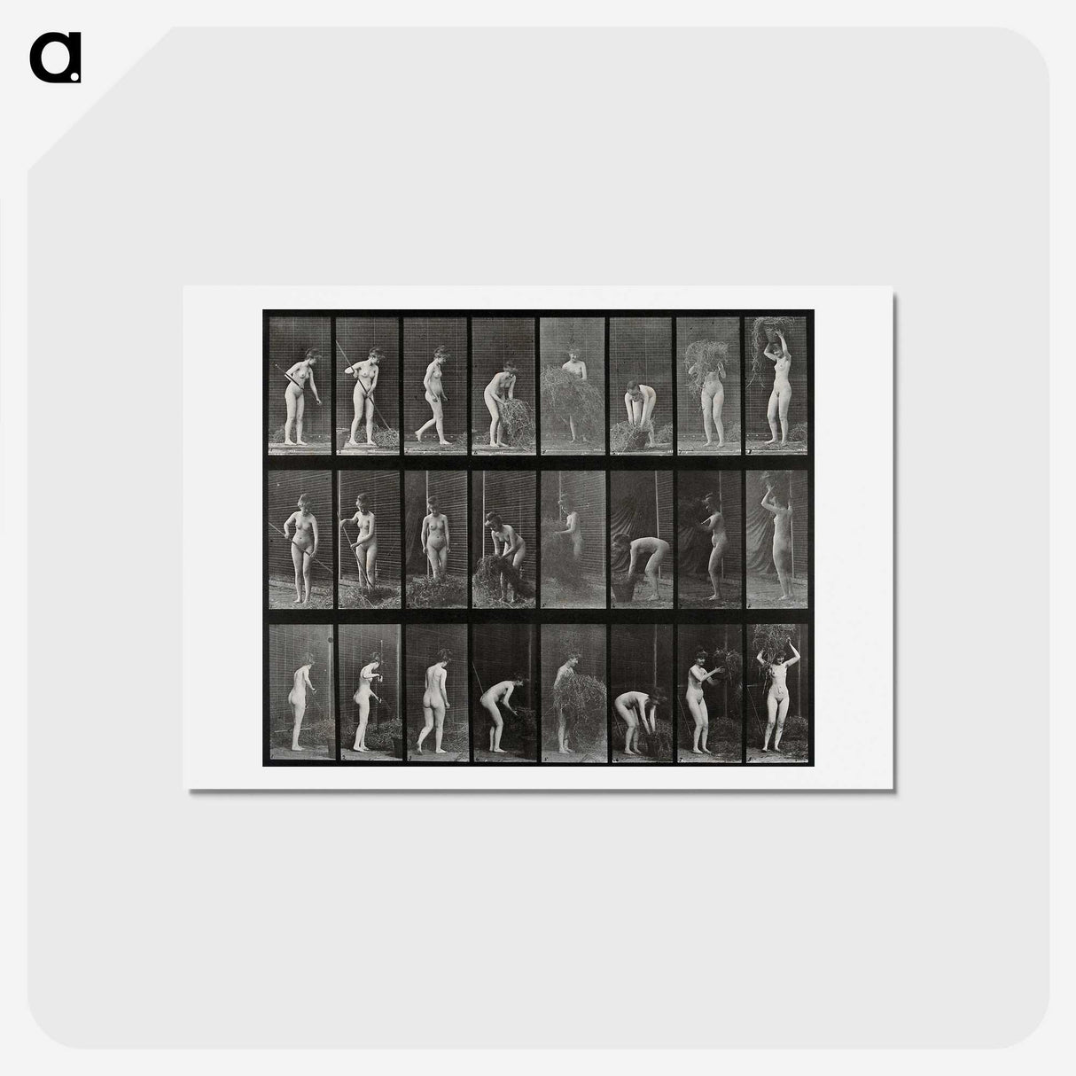 1-79_Eadweard-Muybridge_hagaki
