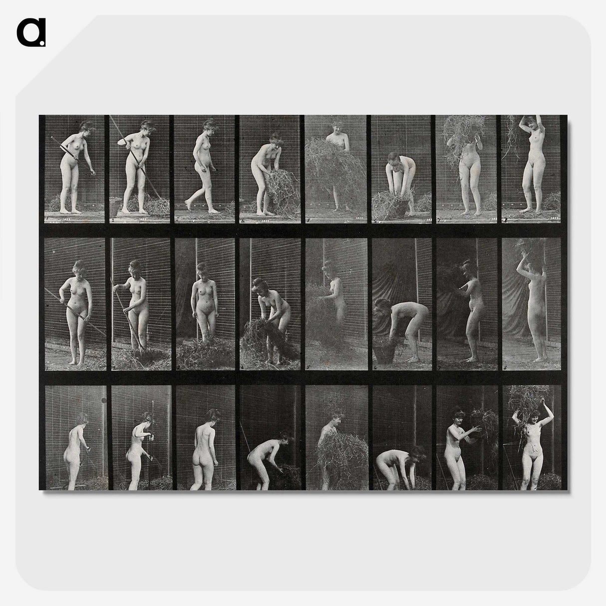 1-79_Eadweard-Muybridge_picture-crop