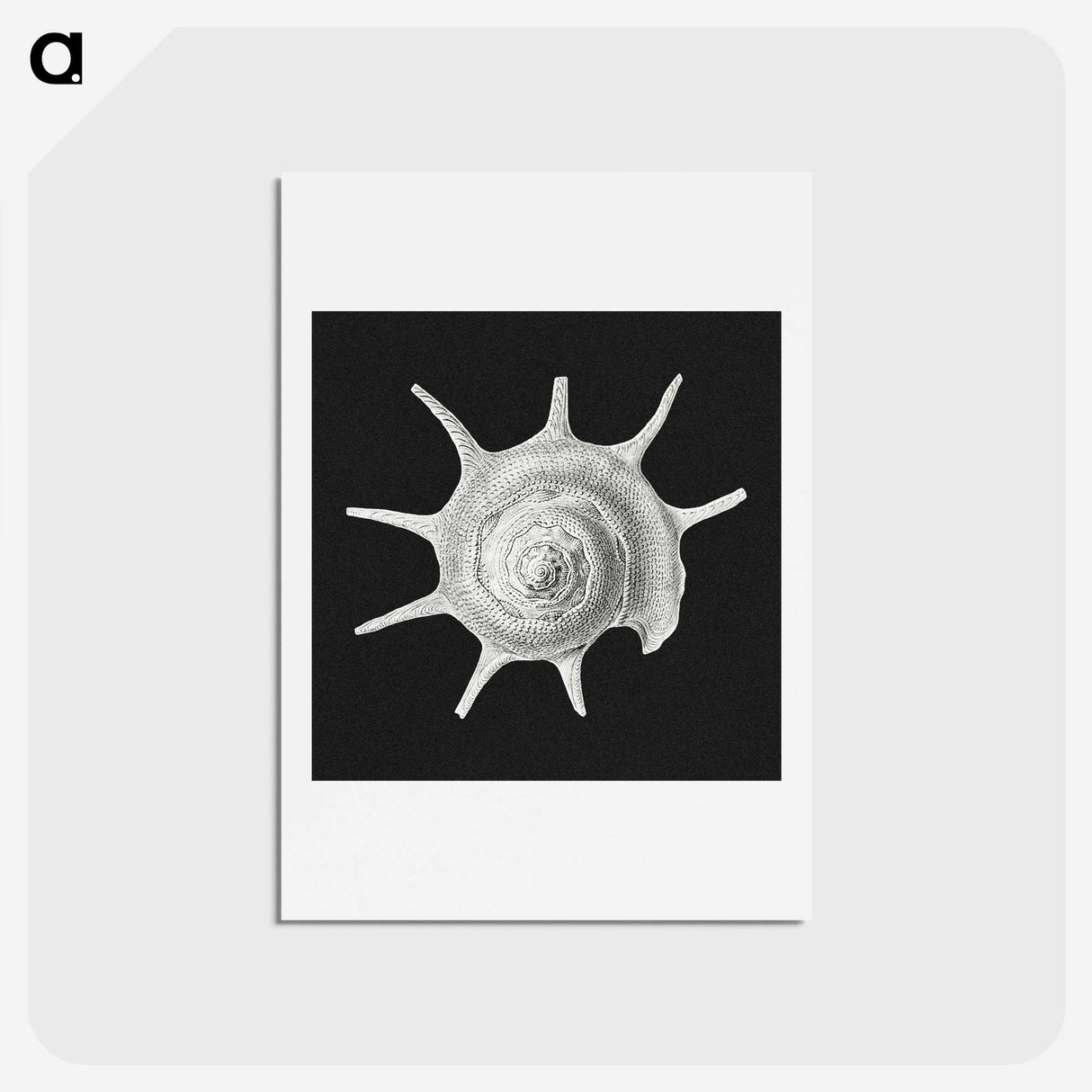 1-79_Ernst-Haeckel_hagaki