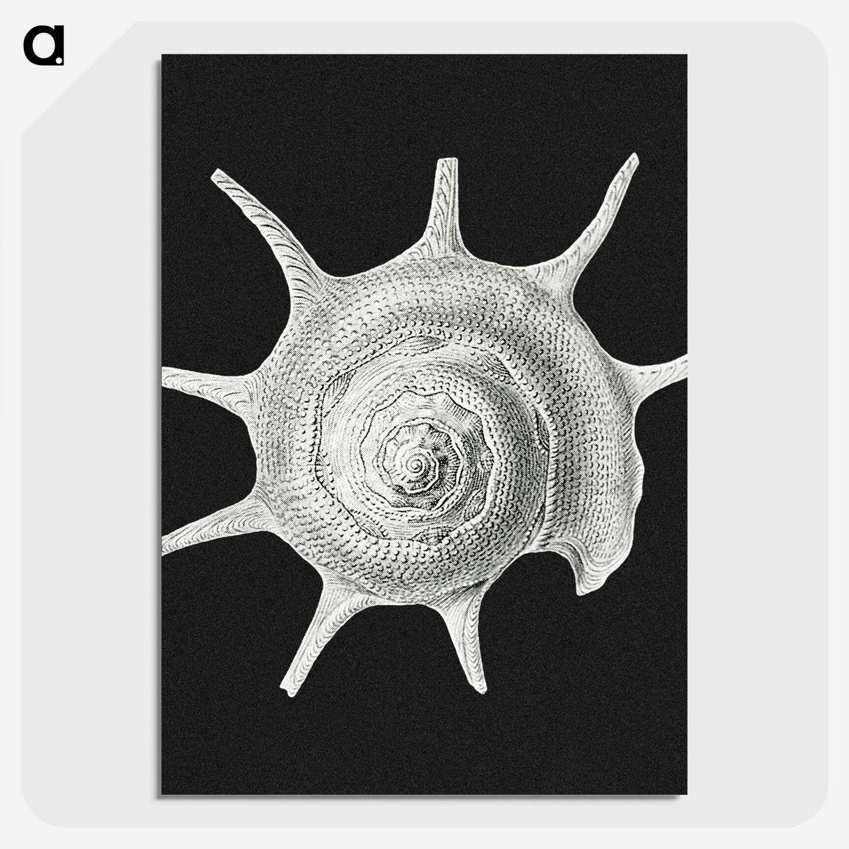 1-79_Ernst-Haeckel_picture-crop