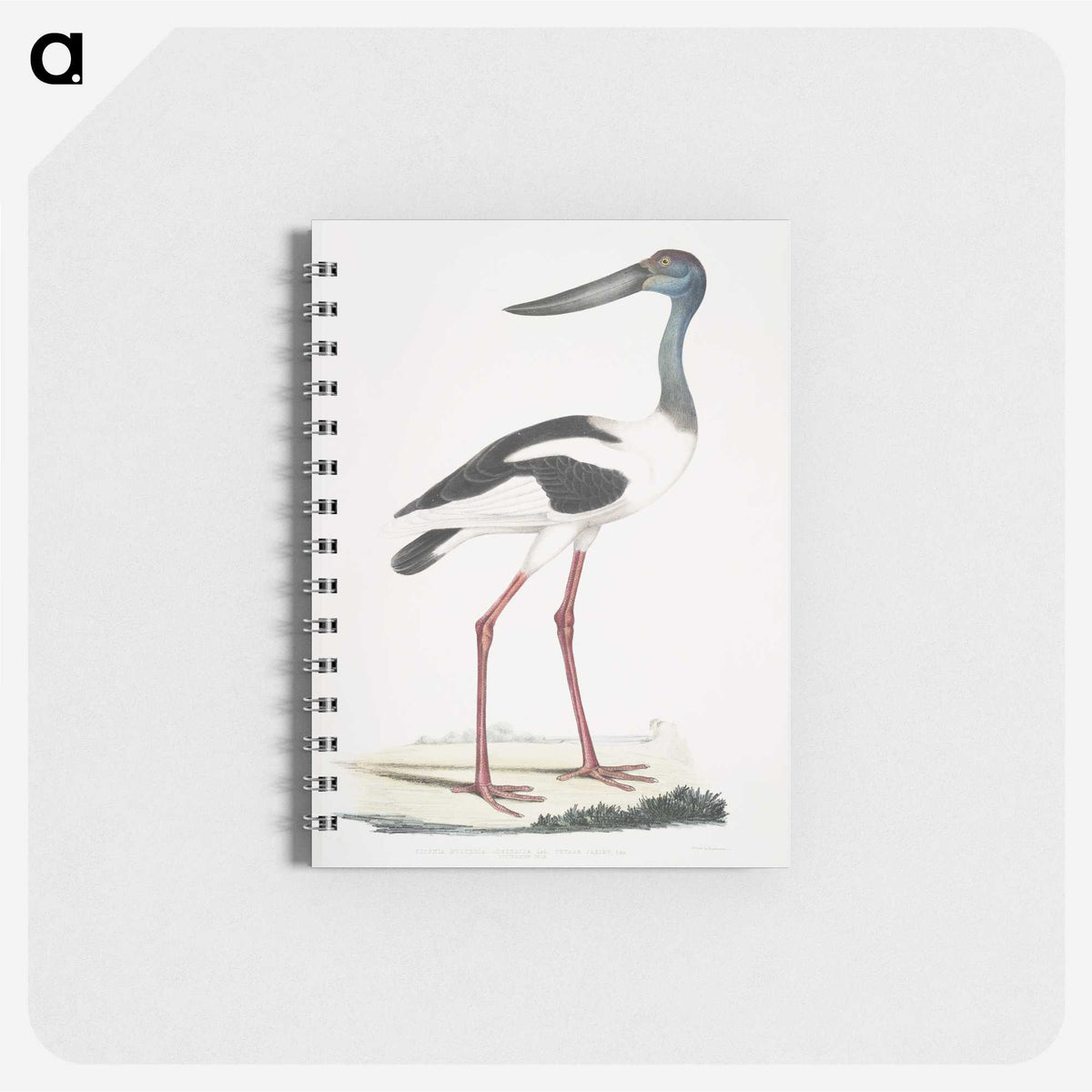 1-79_Indian-Zoology_memo