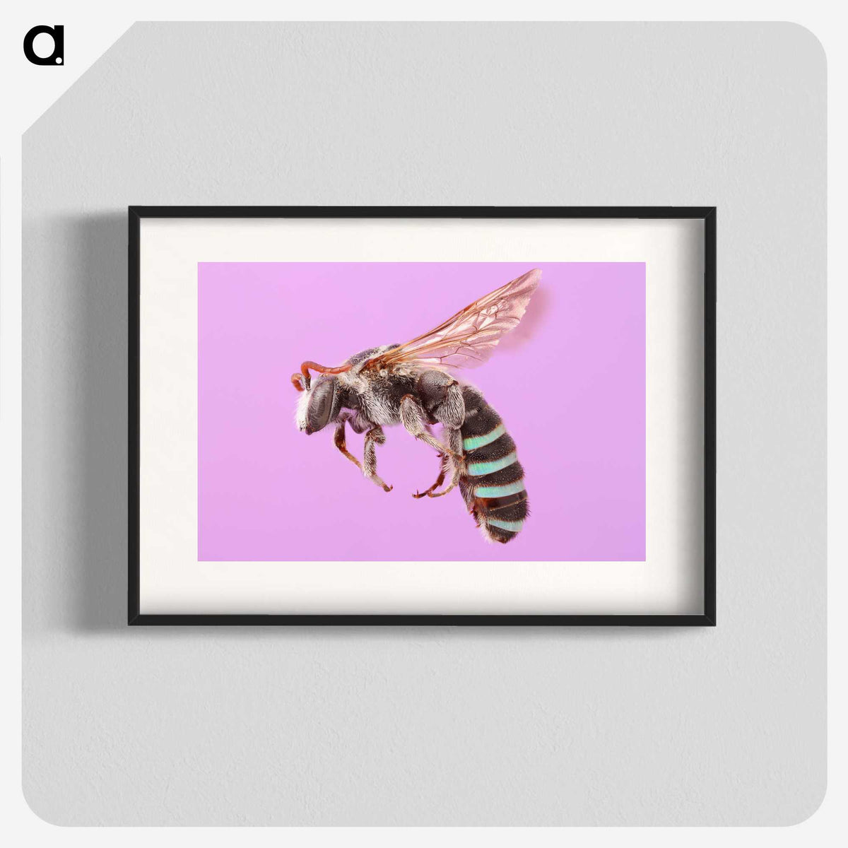 1-79_Insects-Unlocked-Project_blk