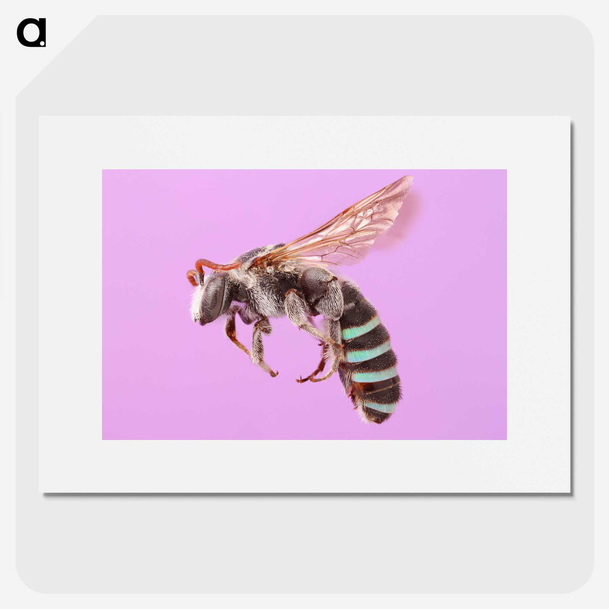 1-79_Insects-Unlocked-Project_picture