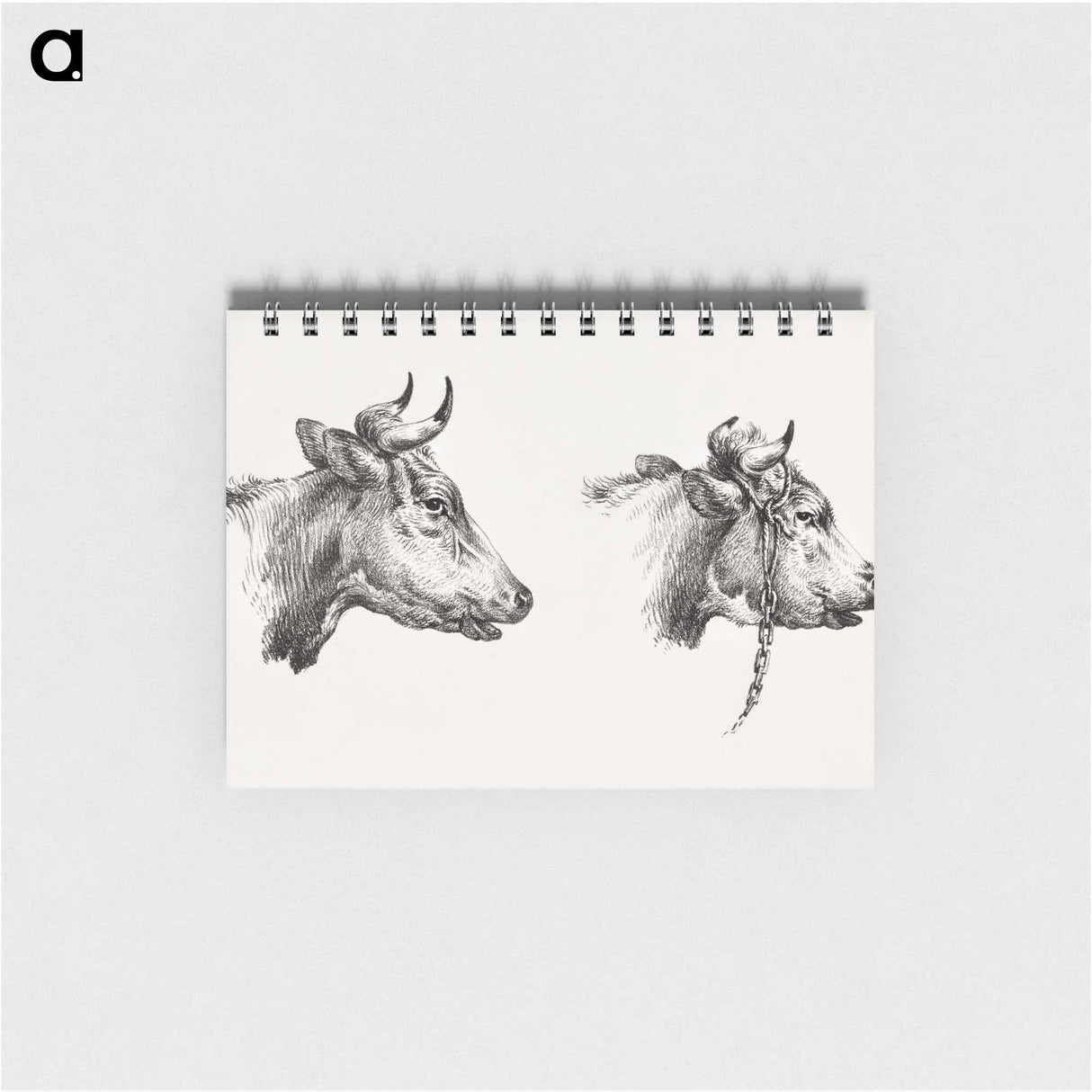 Two bull heads by Jean Bernard - ジャン ベルナール Memo.