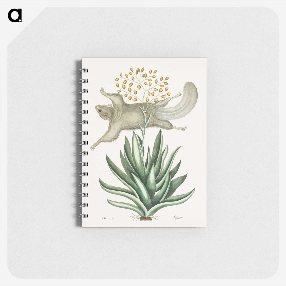 1-79_Mark-Catesby_memo