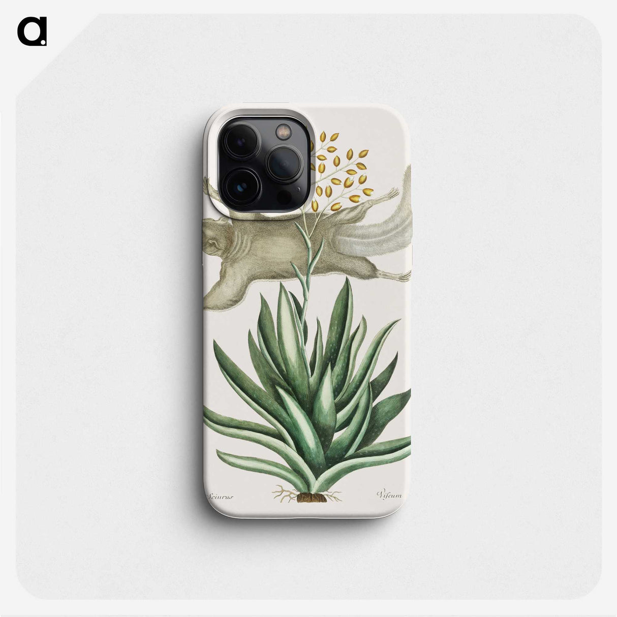1-79_Mark-Catesby_phone
