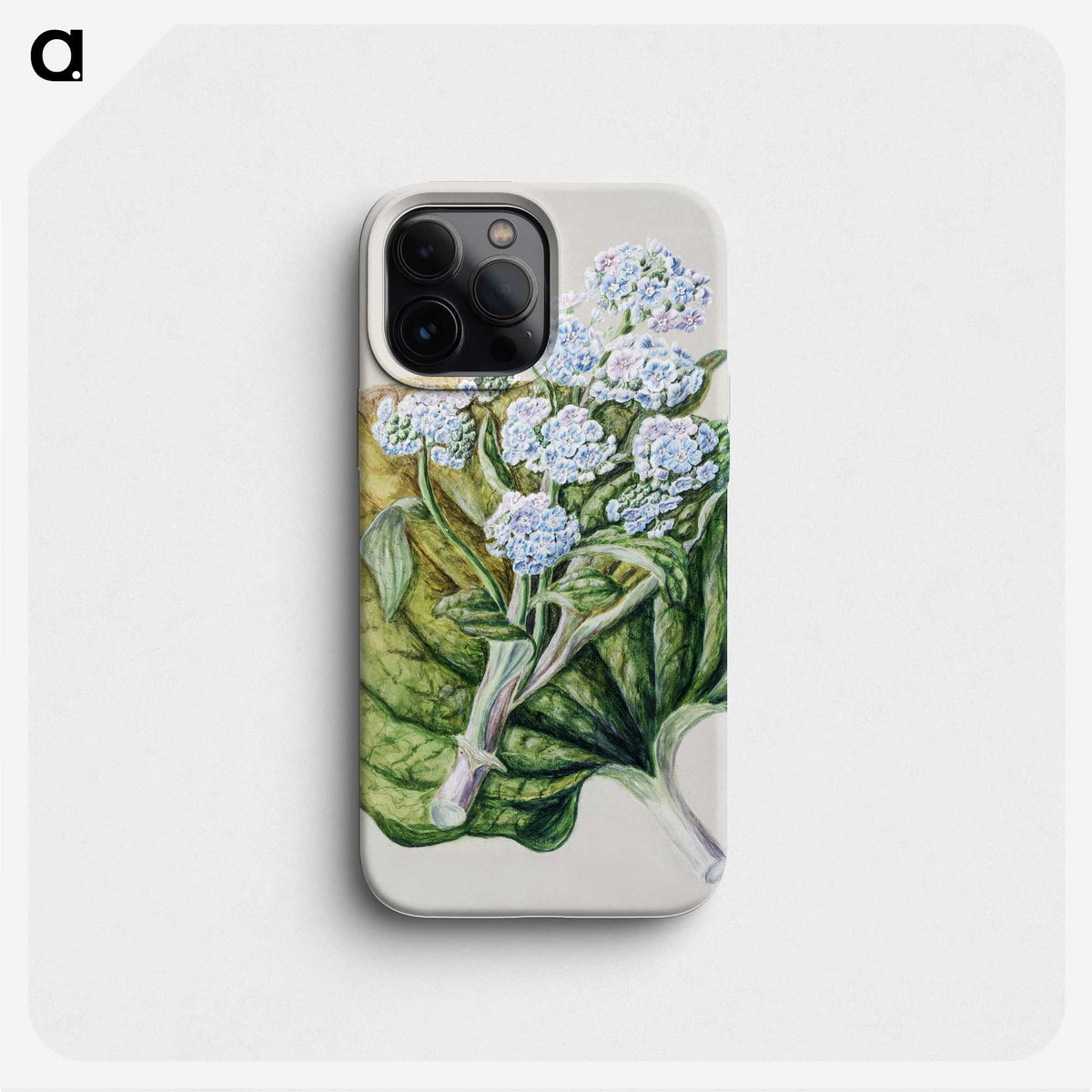 1-79_Native-Flowering-Plants-of-New-Zealand_phone