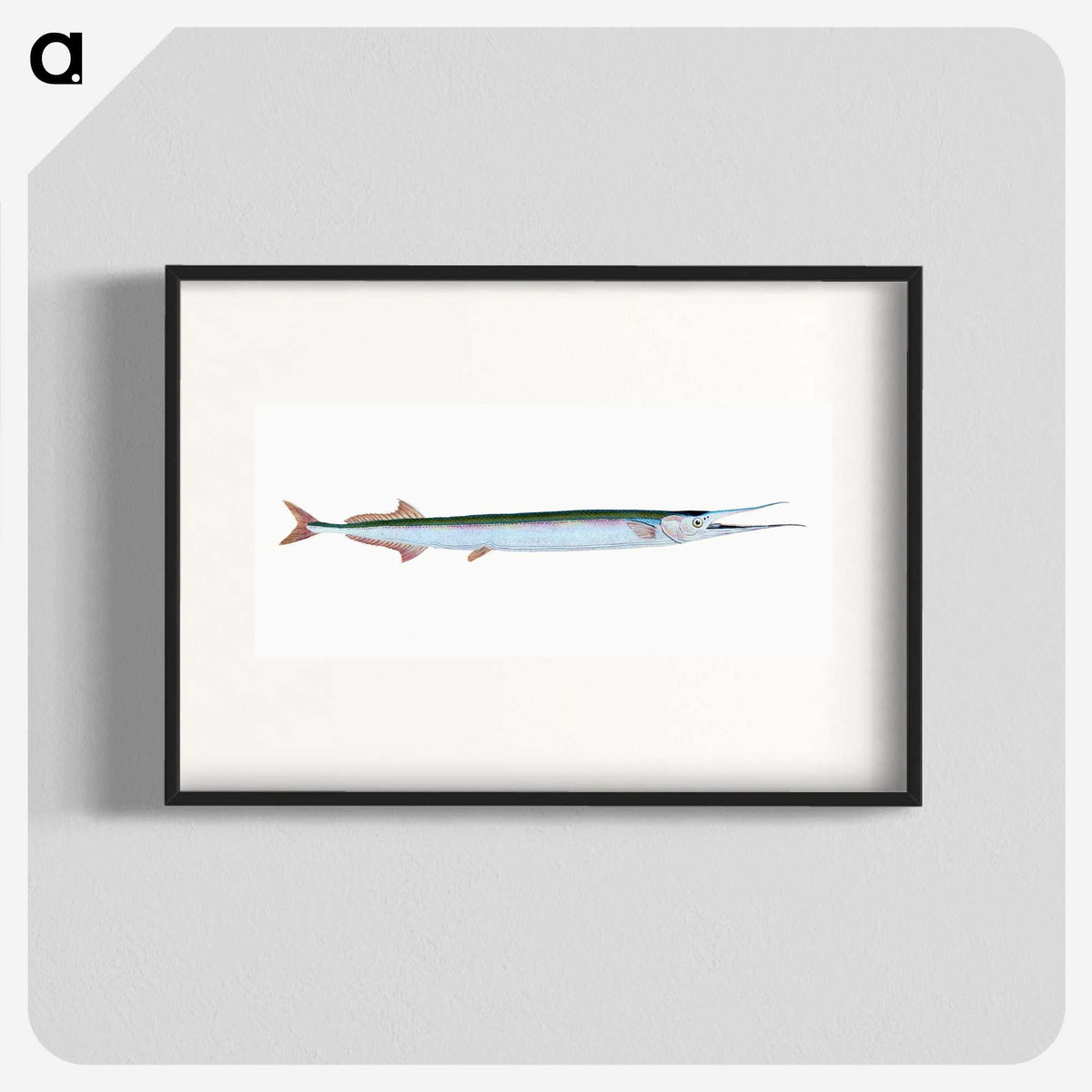 1-79_The-Natural-History-of-British-Fishes_blk