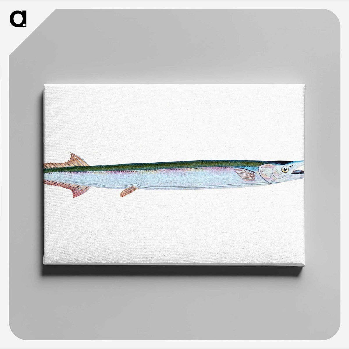 1-79_The-Natural-History-of-British-Fishes_canvas