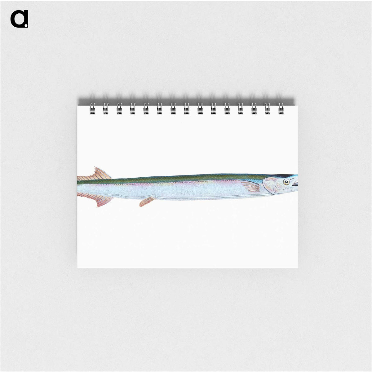 1-79_The-Natural-History-of-British-Fishes_memo