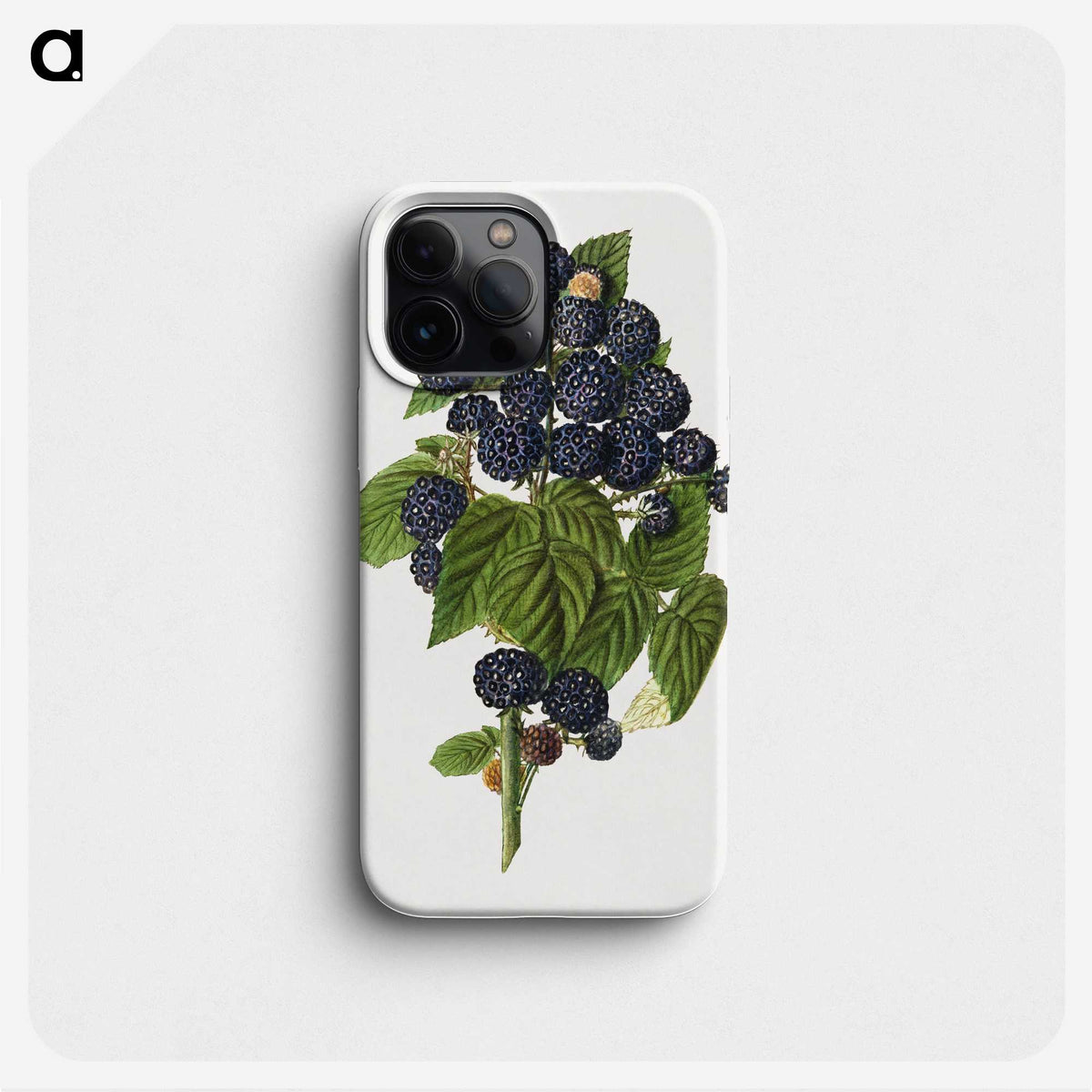 1-79_USDA-Watercolor-Fruit-Painting-Collection_phone
