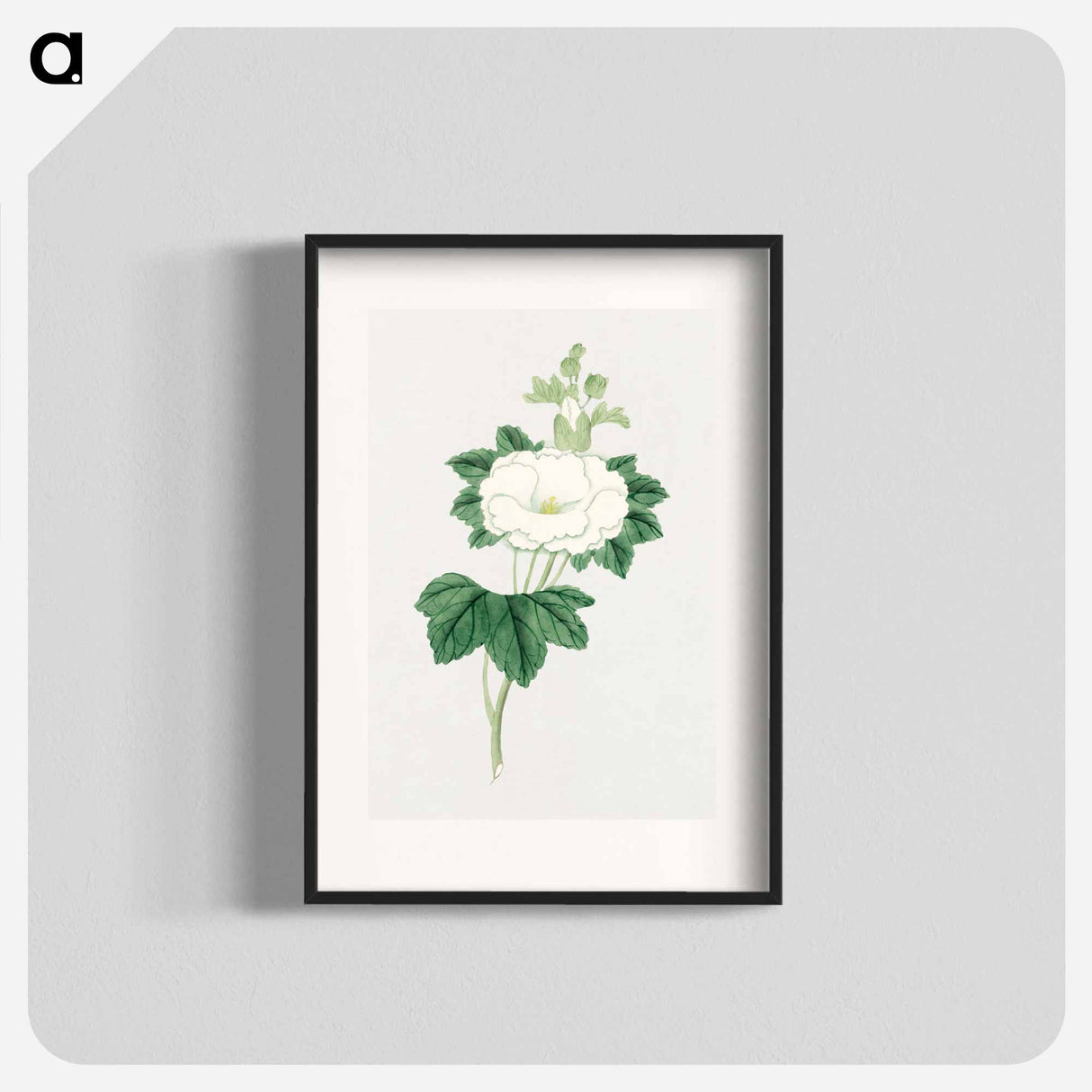 Tachi aoi - 19世紀の日本の花 Poster.