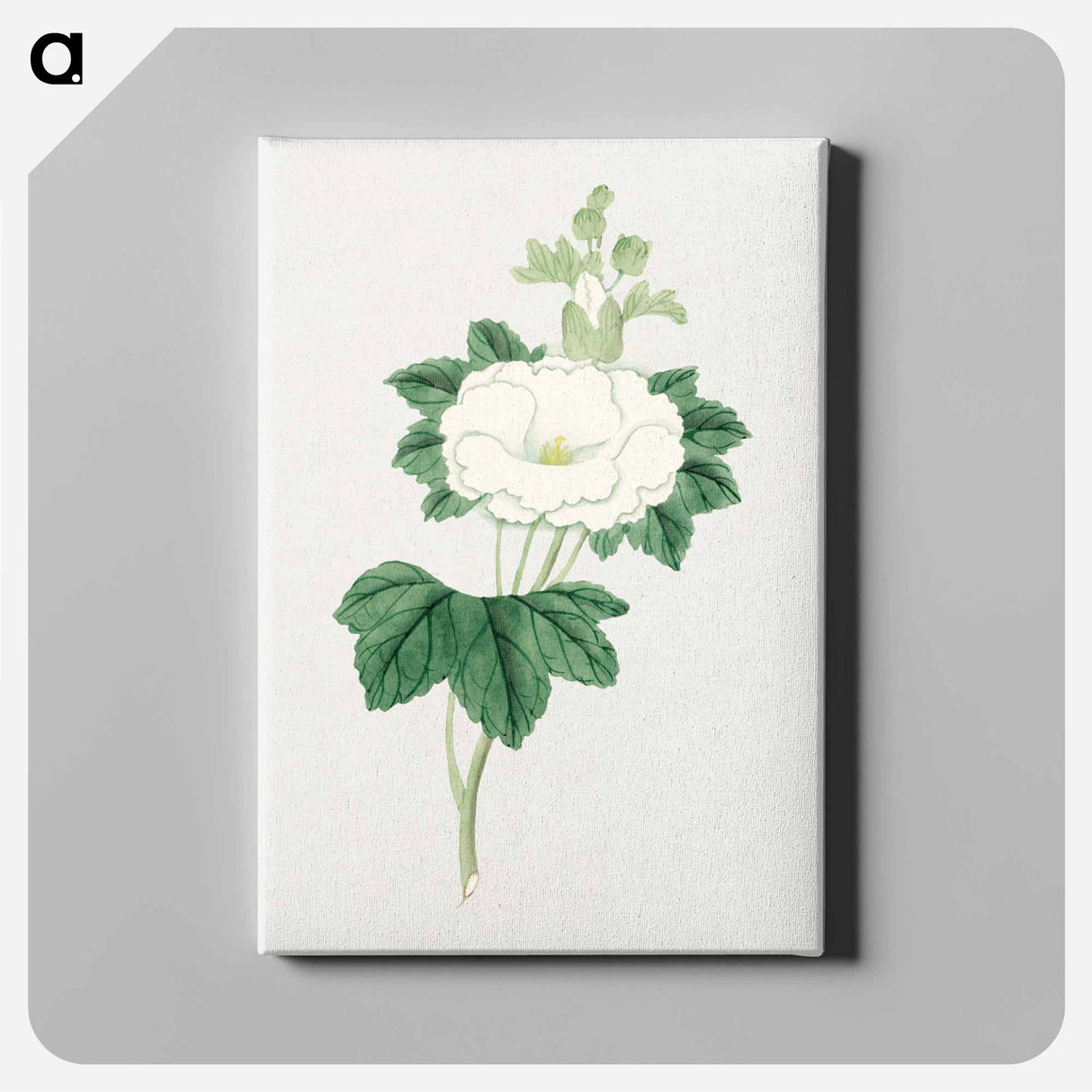 Tachi aoi - 19世紀の日本の花 Canvas.