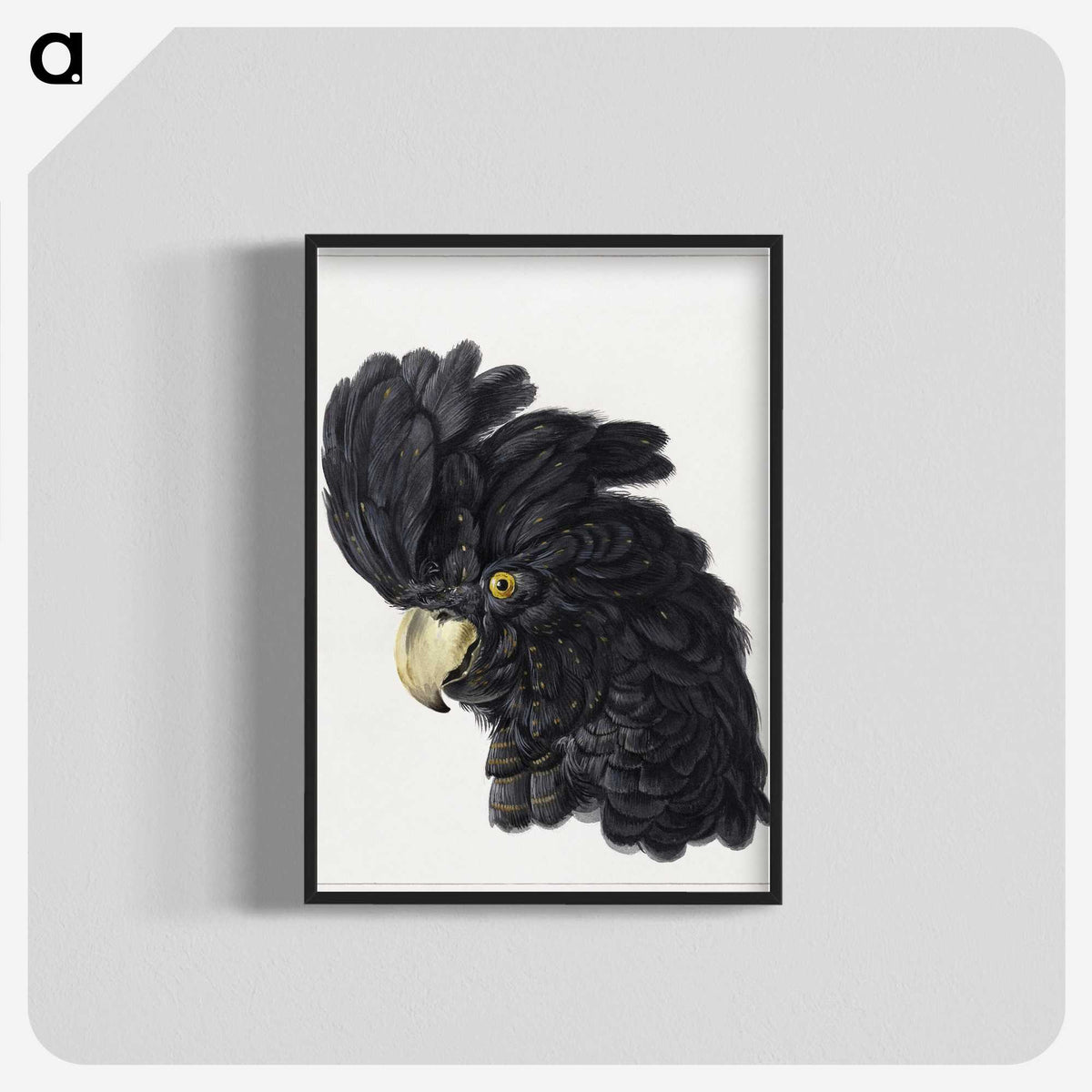 1-7_Aert-Schouman_blk-crop