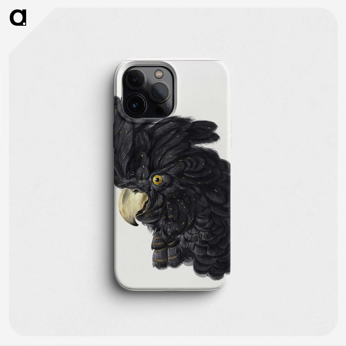 1-7_Aert-Schouman_phone