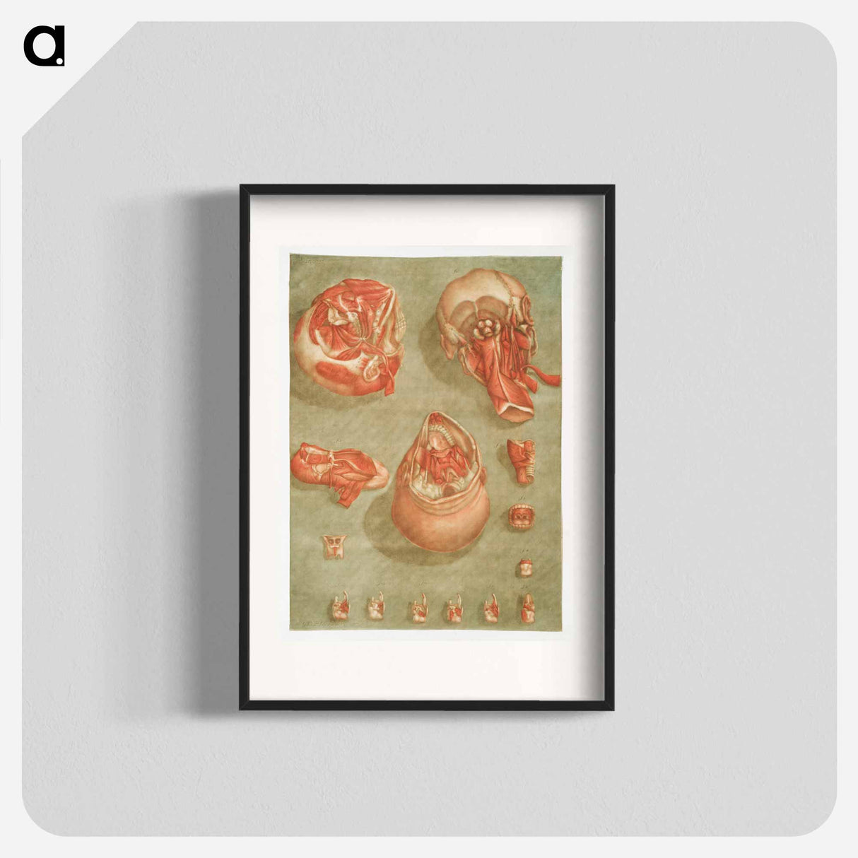 This fascinating collection of anatomical illustrations - アルノルド エロイ ゴーティエ ダゴティ Poster.