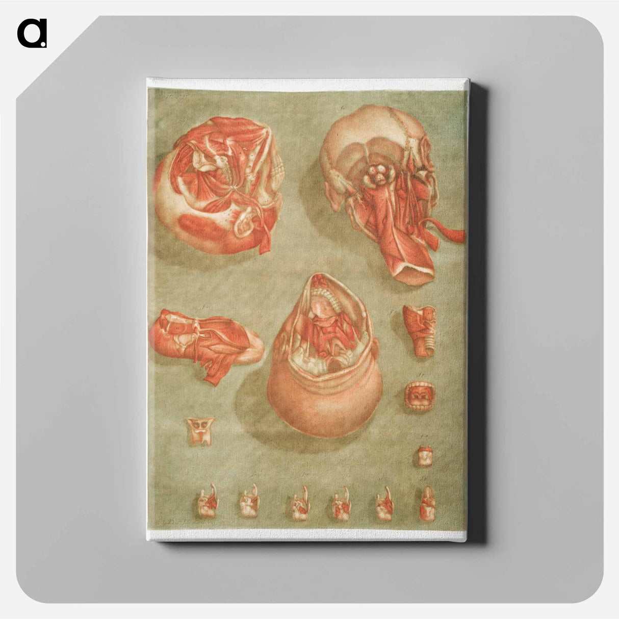 This fascinating collection of anatomical illustrations - アルノルド エロイ ゴーティエ ダゴティ Canvas.
