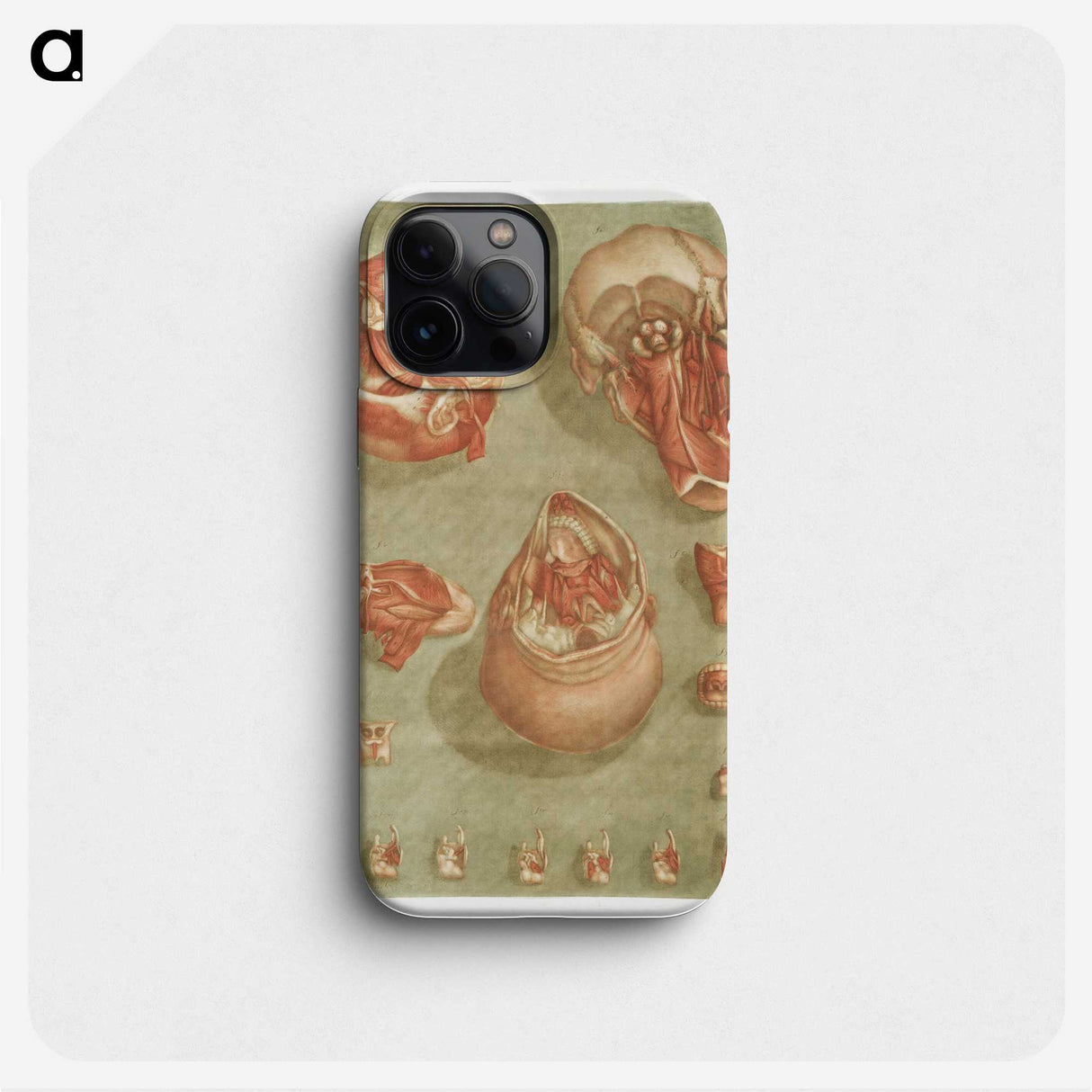 1-7_Arnauld-Eloi-Gautier-Dagoty_phone