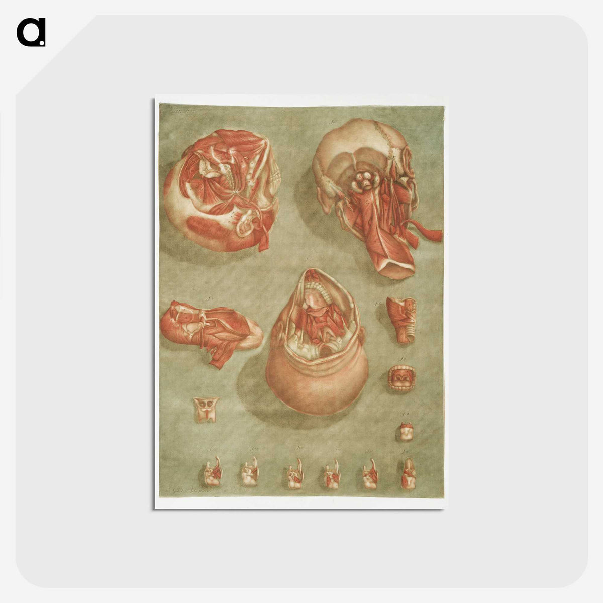 1-7_Arnauld-Eloi-Gautier-Dagoty_postcard