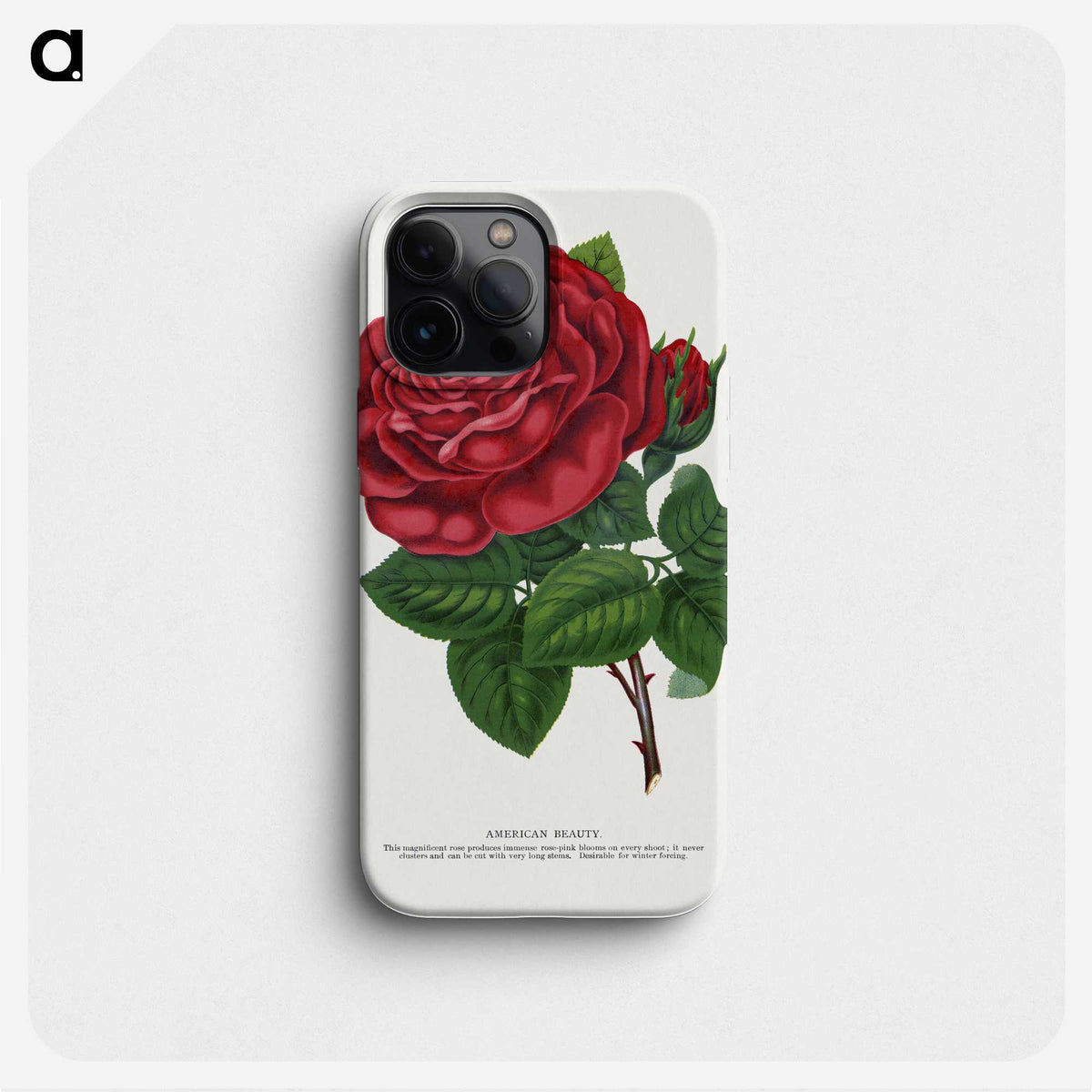 1-7_Botanical-Specimen-Plates_phone