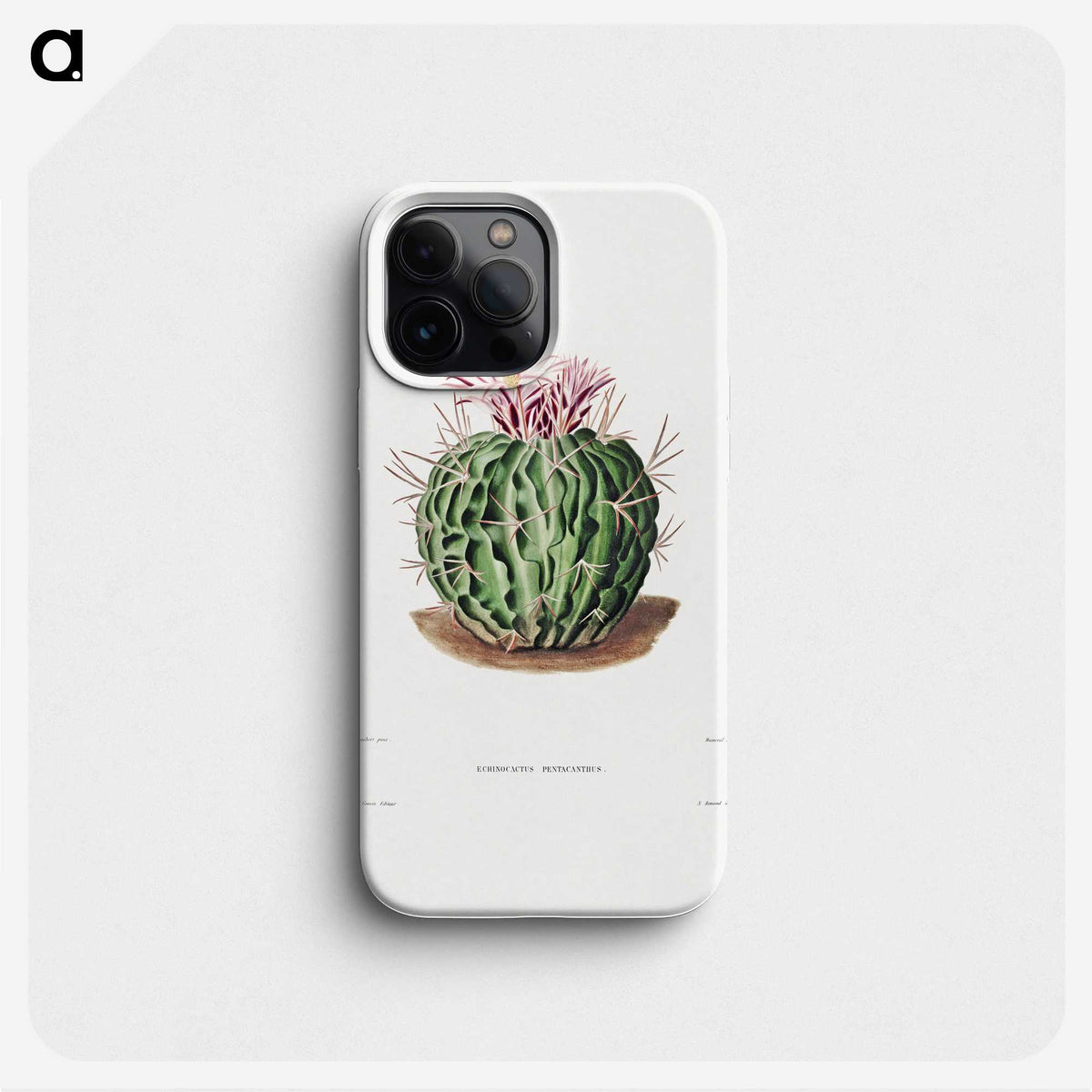 1-7_Charles-Antoine-Lemaire_phone