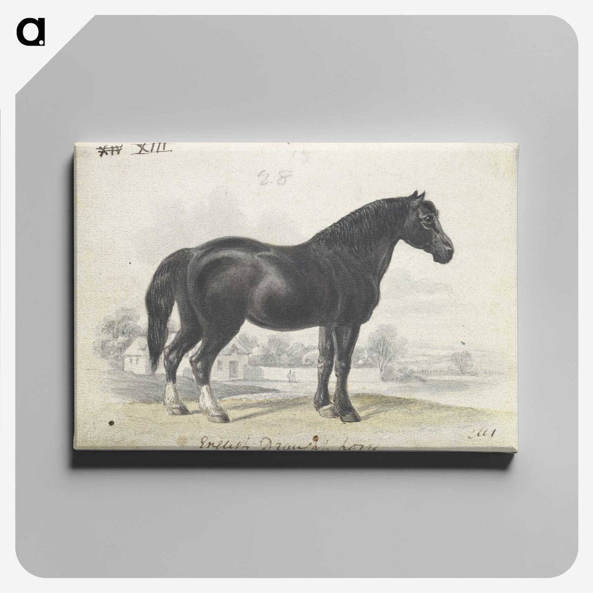 1-7_Charles-Hamilton-Smith_canvas