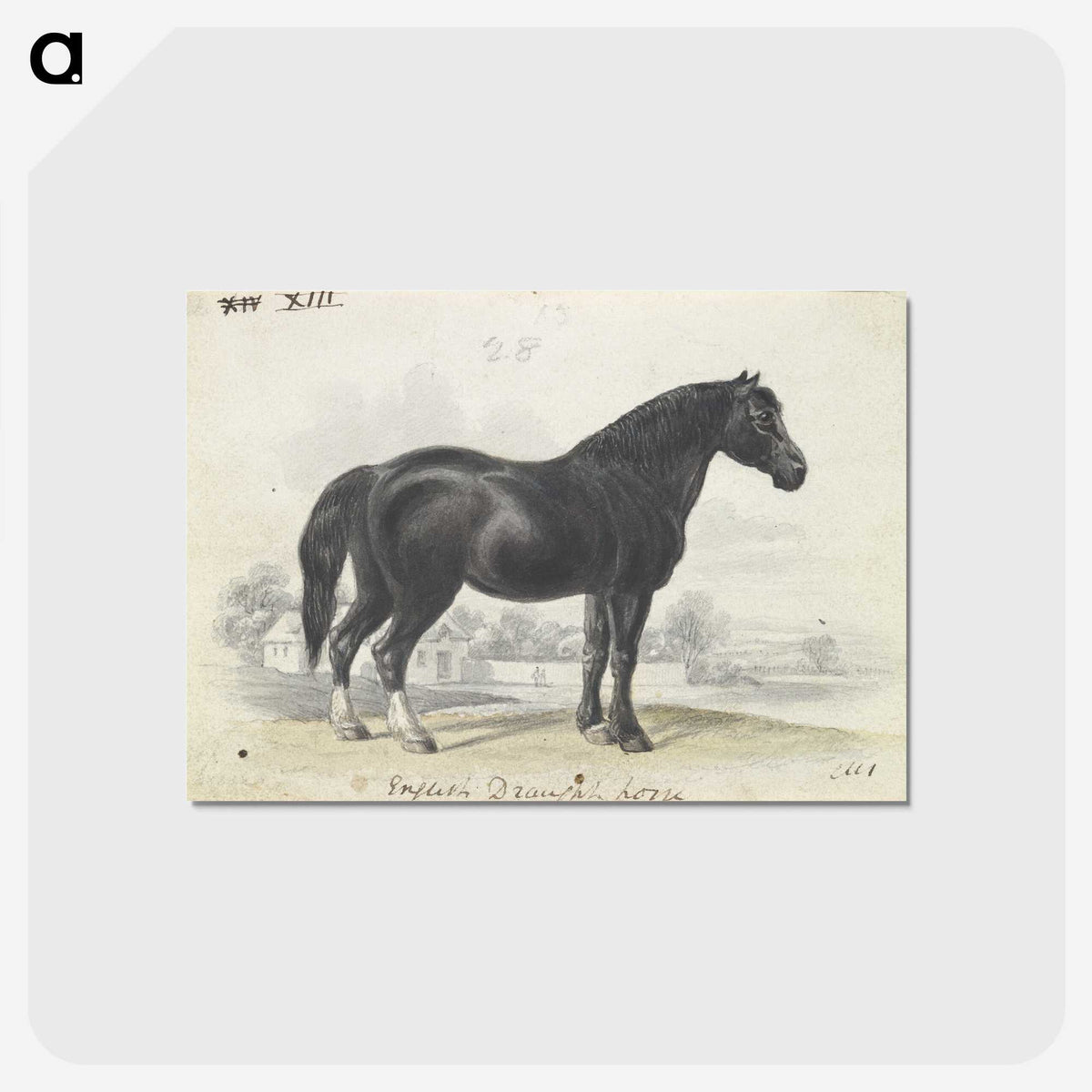 1-7_Charles-Hamilton-Smith_postcard