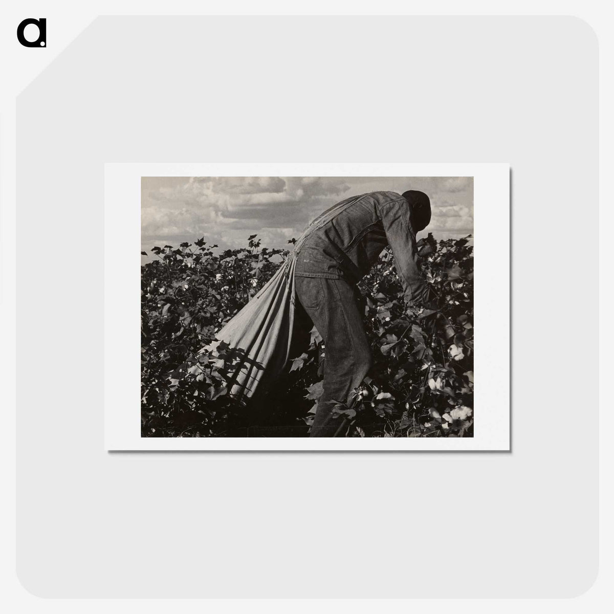 1-7_Dorothea-Lange_hagaki