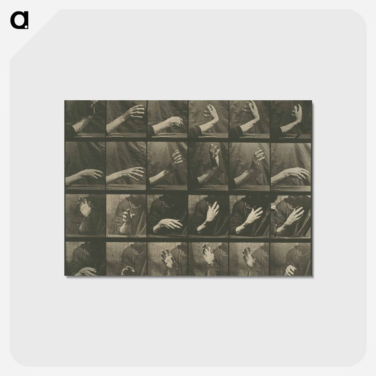 アートポストカード-Animal Locomotion, Plate 535
- エドワード マイブリッジ Postcard.