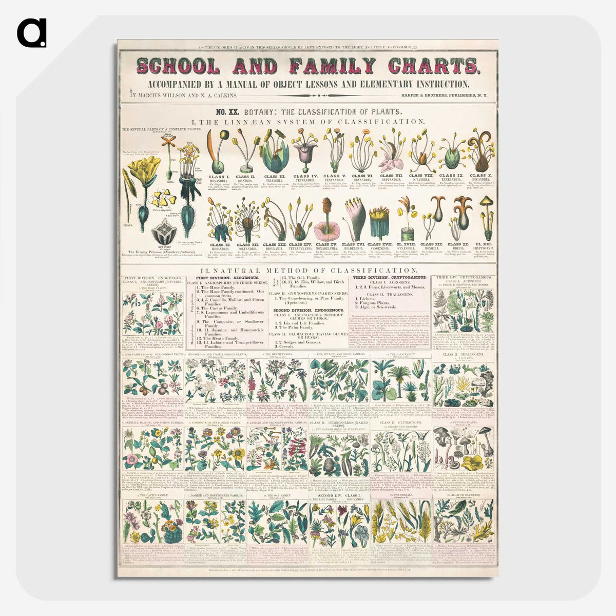 1-7_Education-Charts_picture-crop
