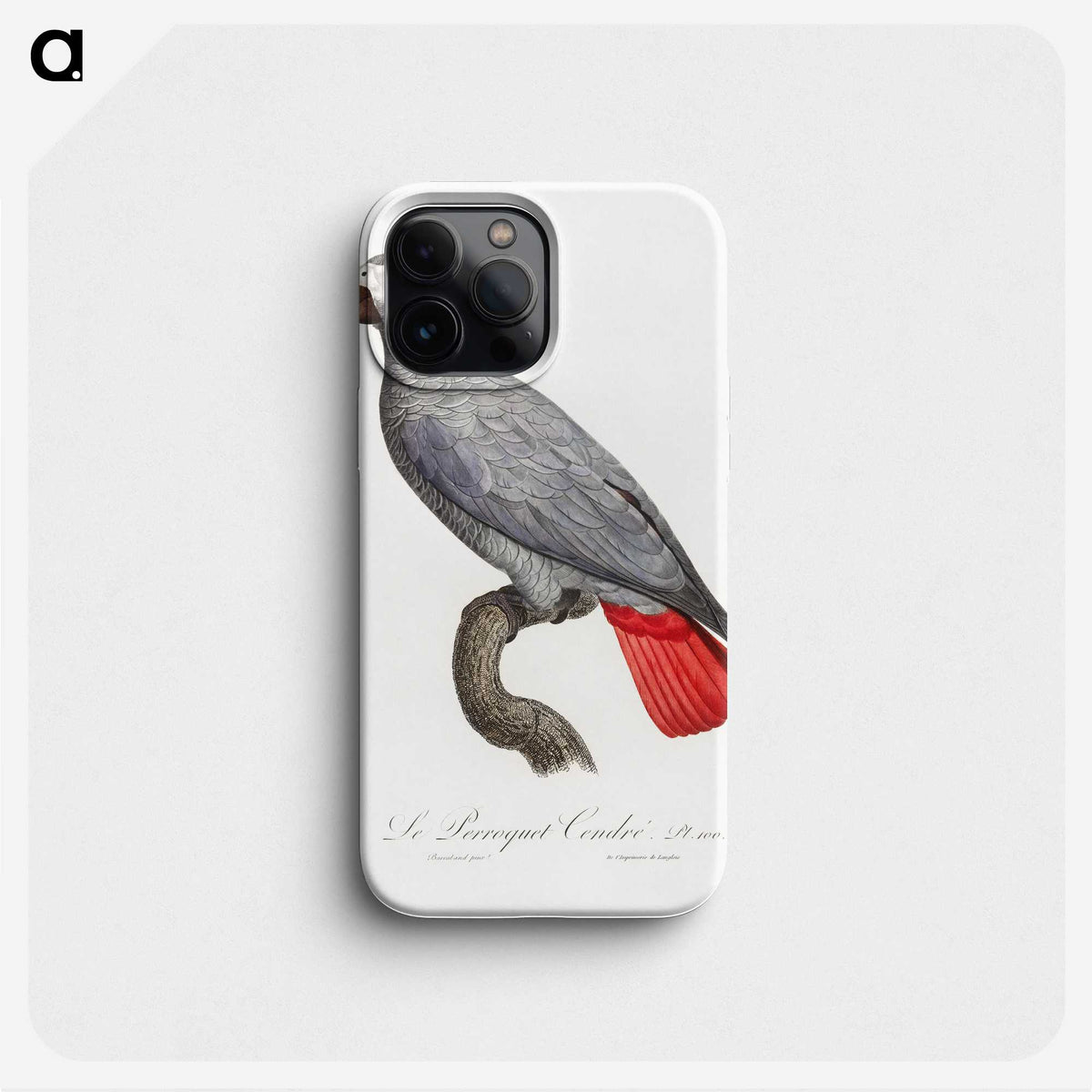 1-7_Francois-Levaillant_phone