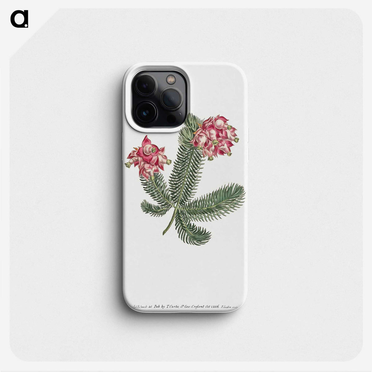 1-7_Fransis-Sansom_phone