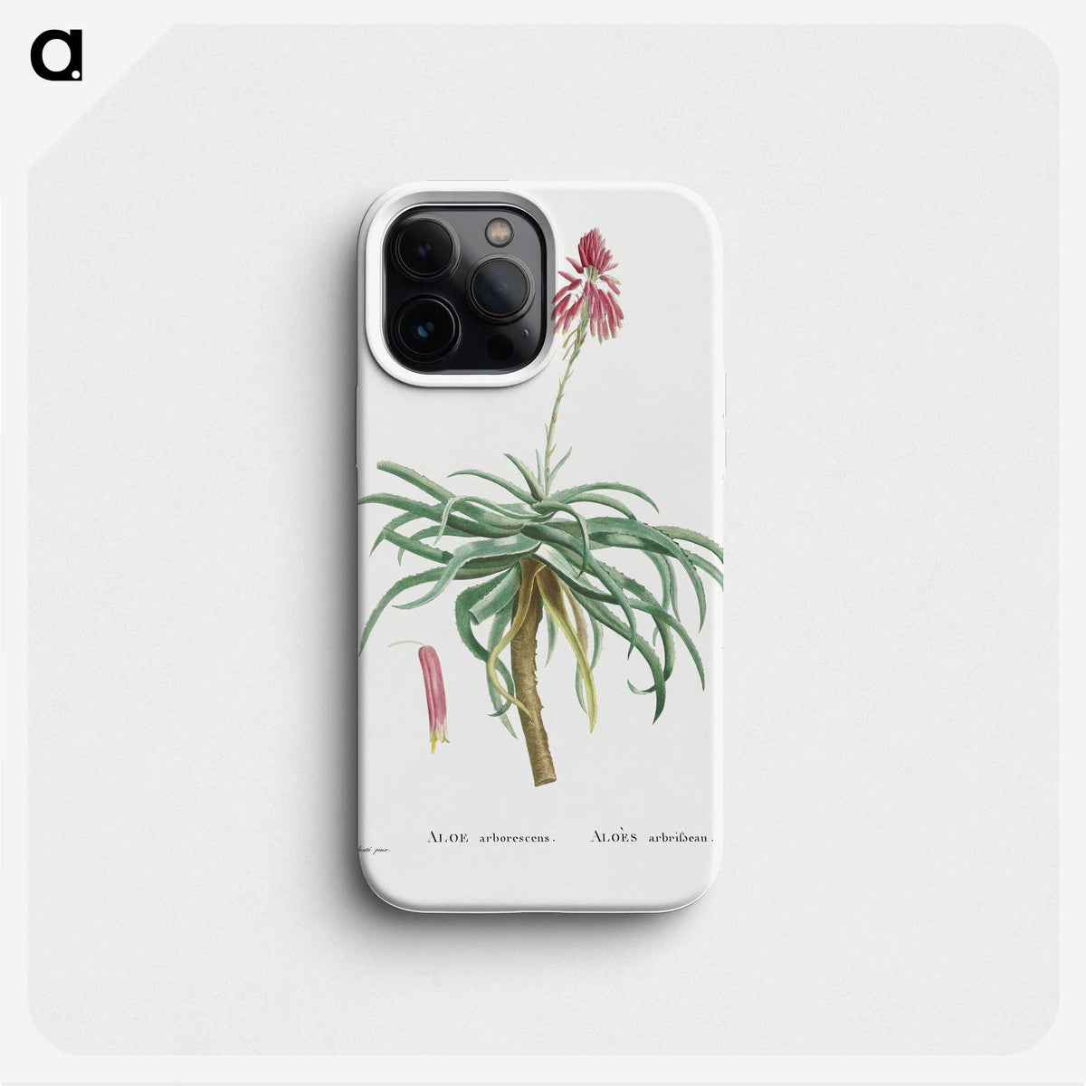 1-7_Histoire-des-Plantes-Grasses_phone