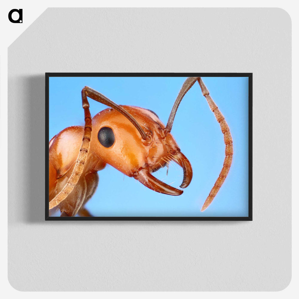 1-7_Insects-Unlocked-Project_blk-crop