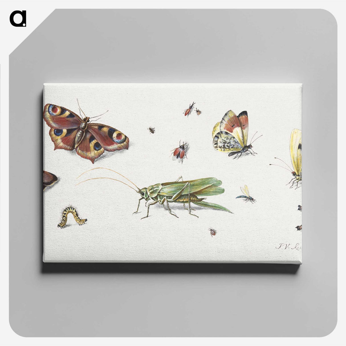 1-7_Jan-Van-Kessel_canvas