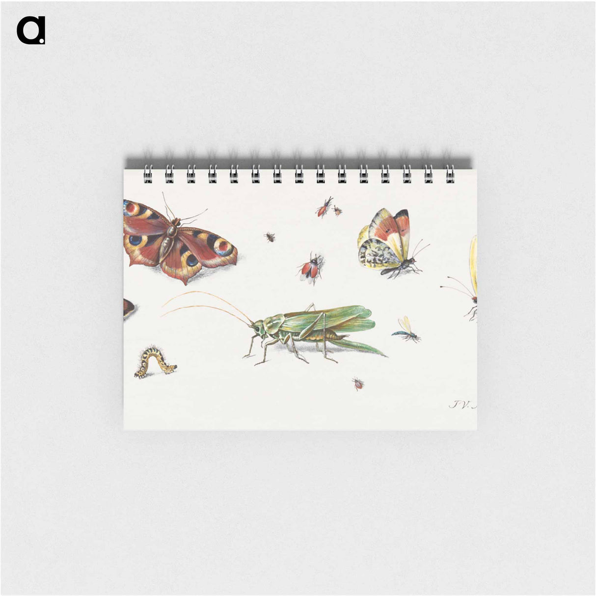 アートメモ帳-Insects, Butterflies, and a Grasshopper
- ヤン ファン ケッセル Memo.