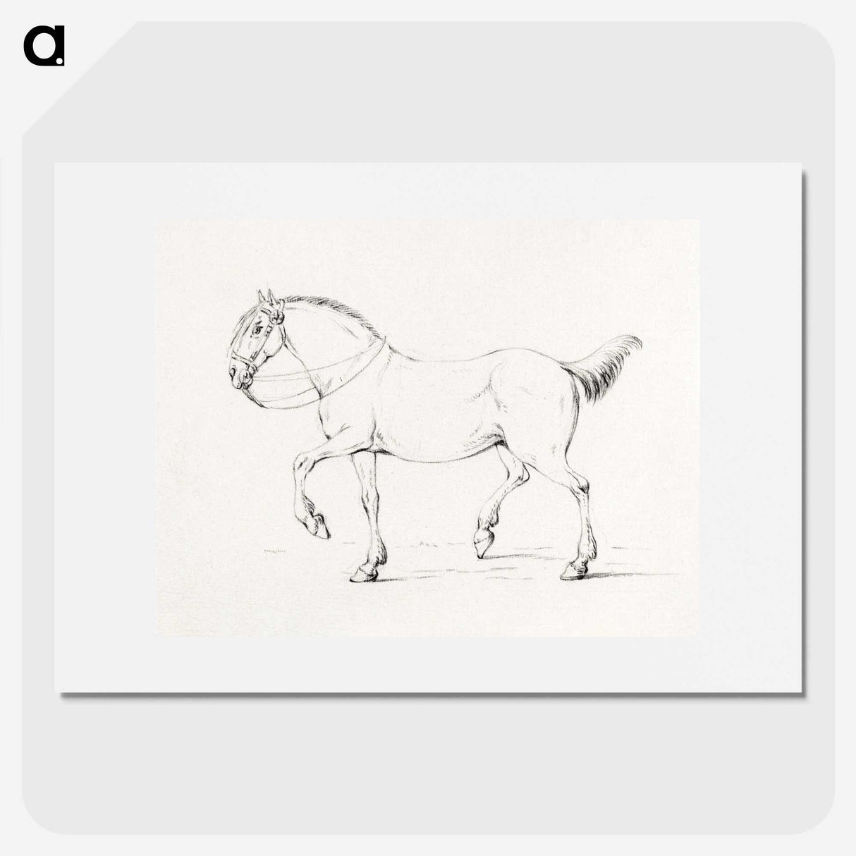 1-7_Jean-Bernard_picture