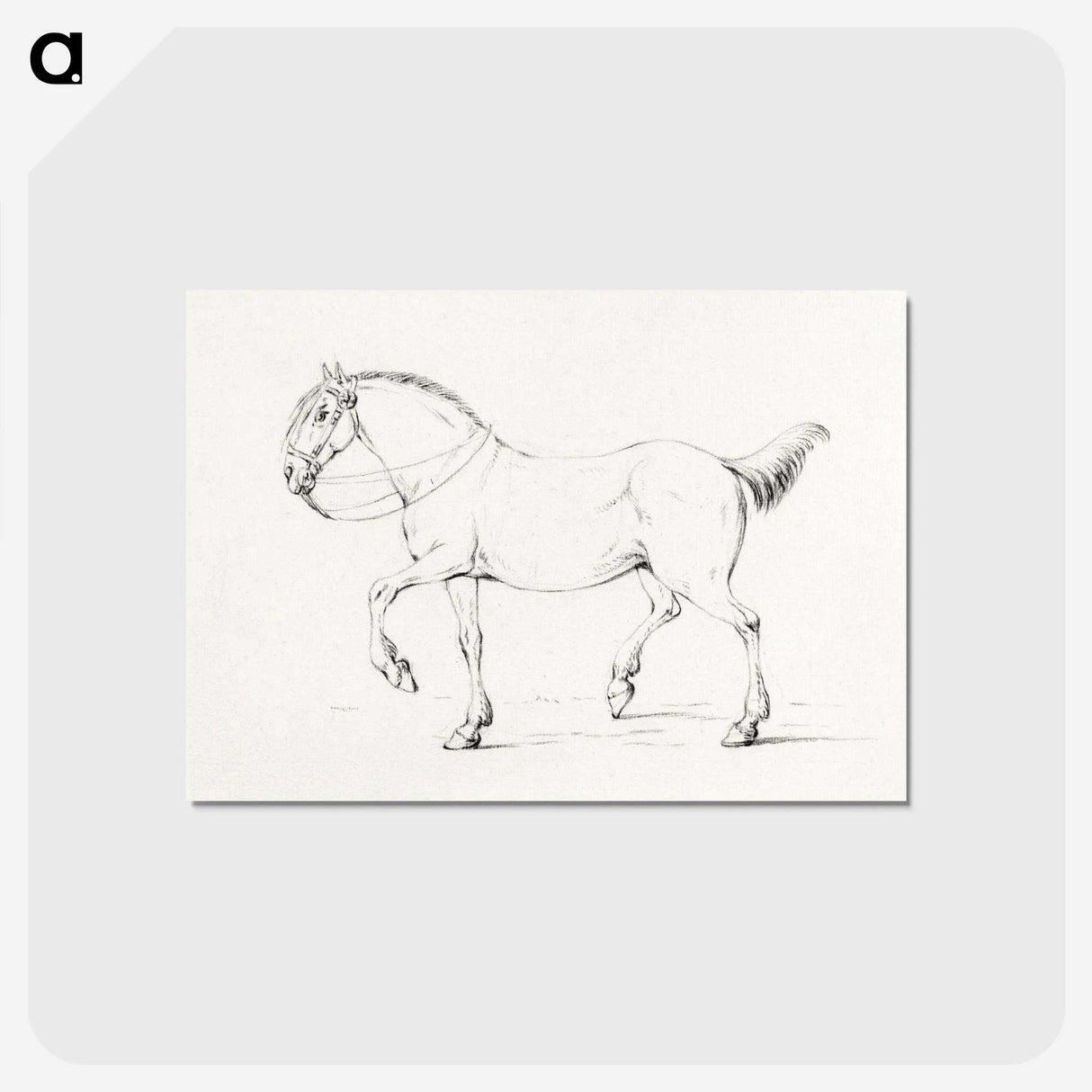 1-7_Jean-Bernard_postcard