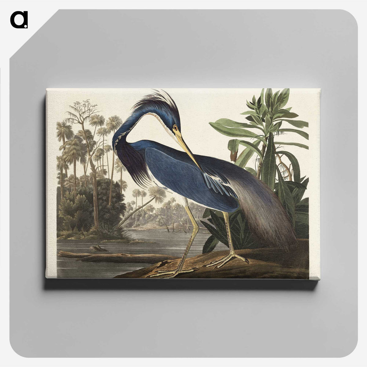1-7_John-James-Audubon_canvas