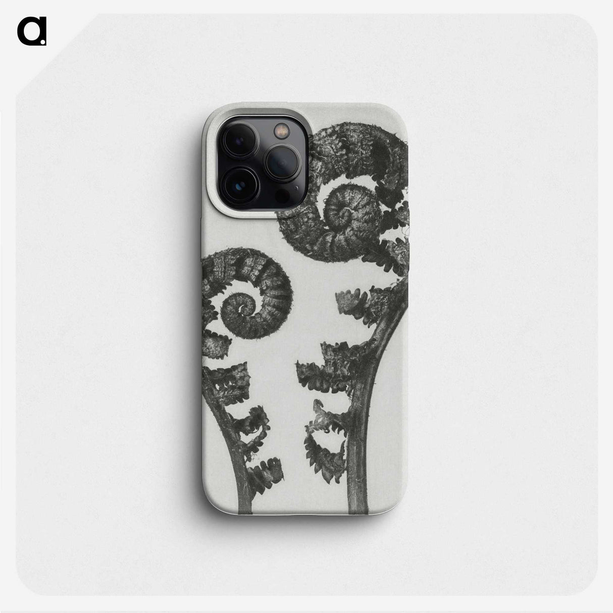 1-7_Karl-Blossfeldt_phone