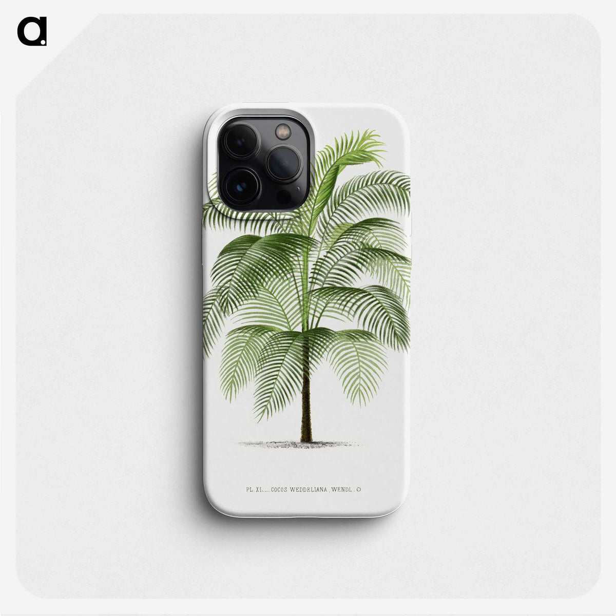 1-7_Les-Palmiers-Histoire-Iconographique_phone