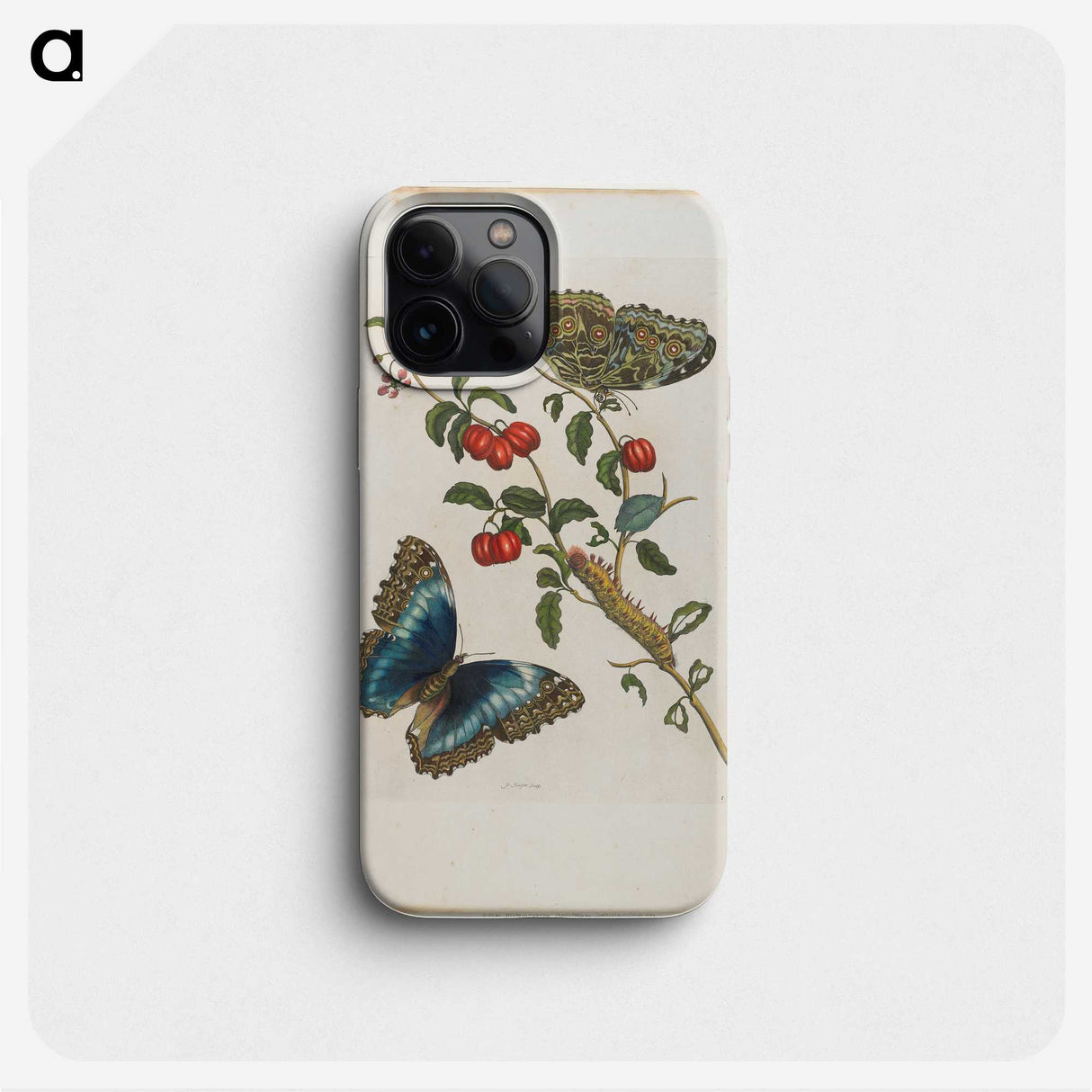 1-7_Maria-Sibylla-Merian_phone