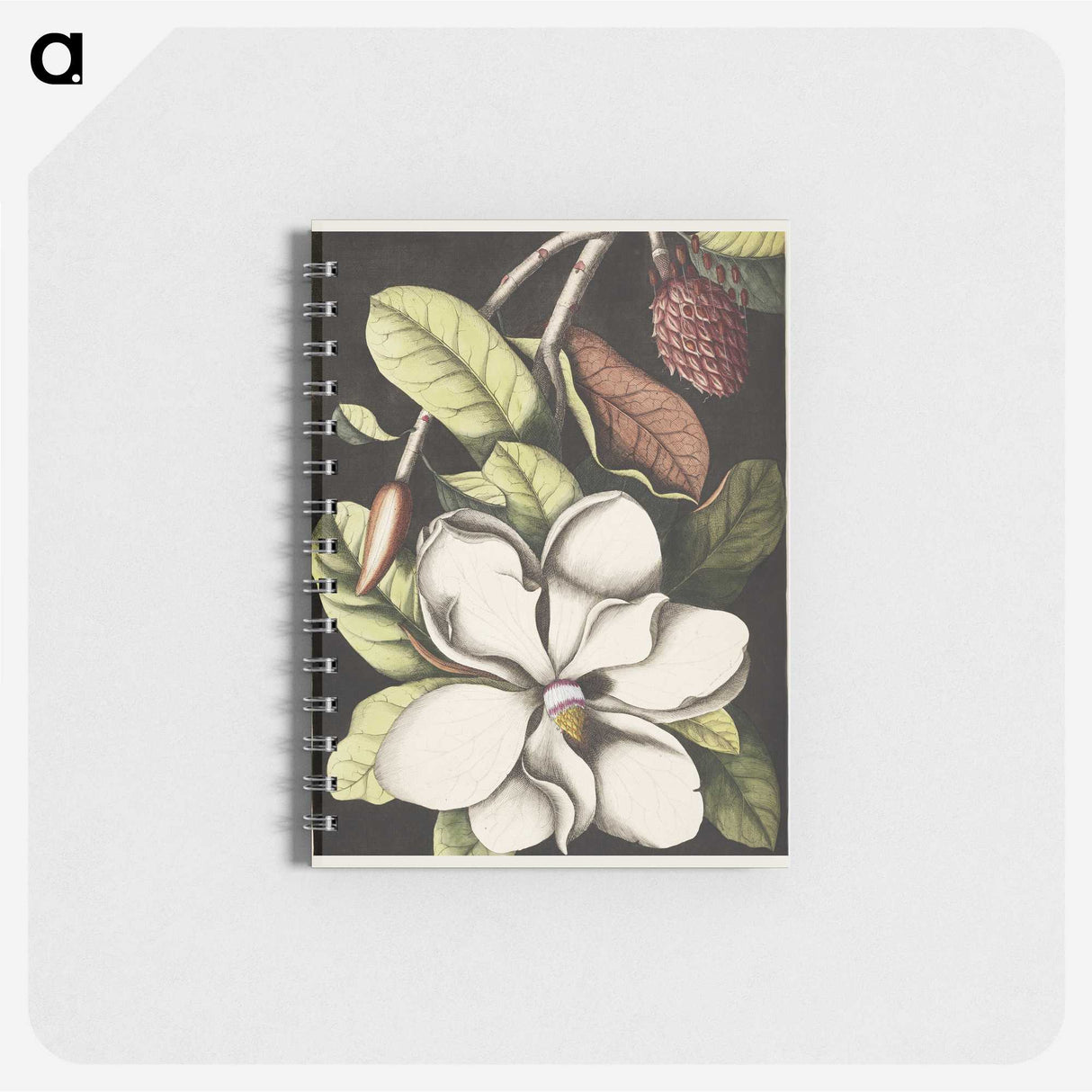 1-7_Mark-Catesby_memo